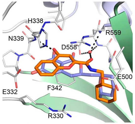 Biomolecules 10 01625 g007 550