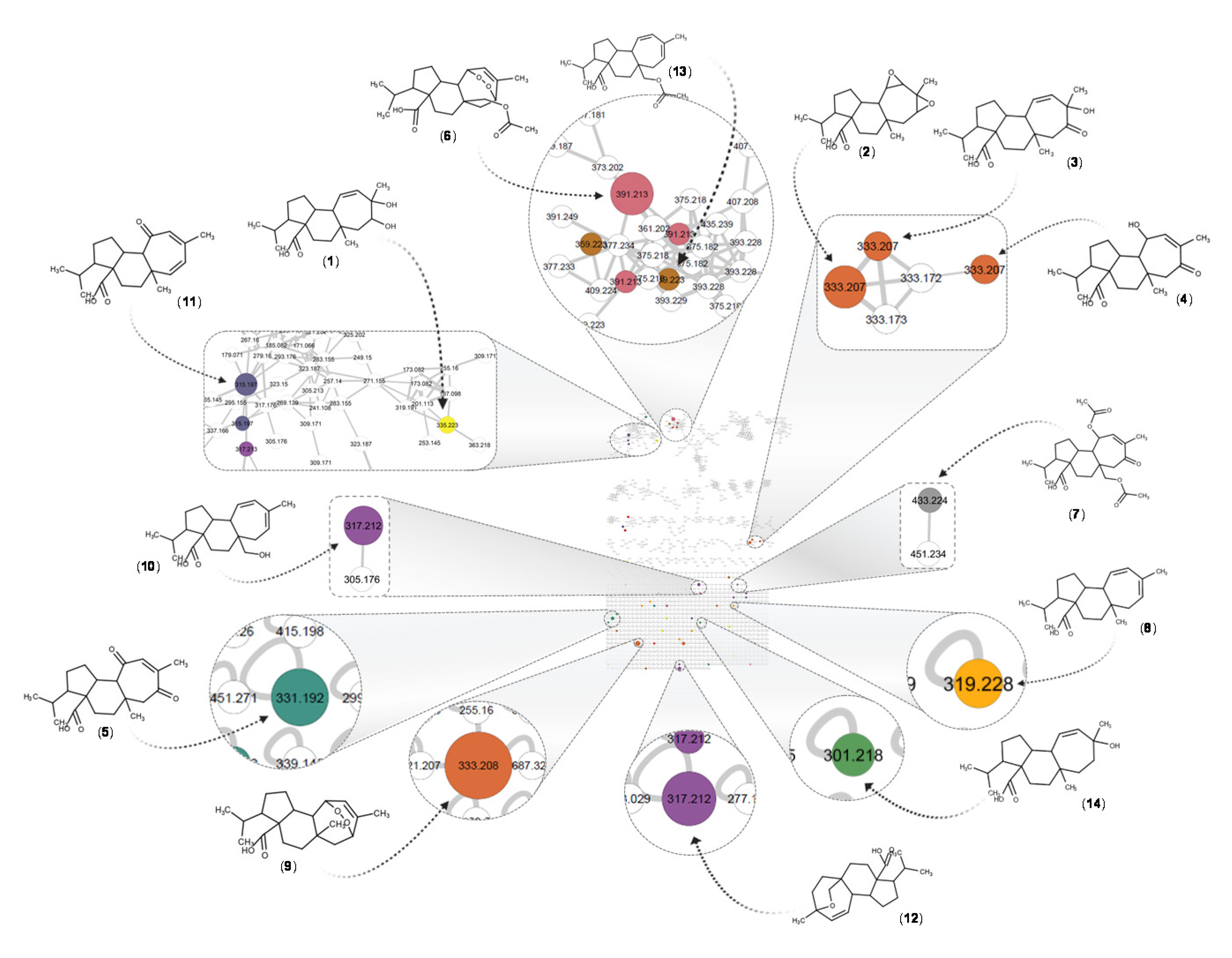 Biomolecules 10 01626 g005 Biomolecules 10 01626 g005