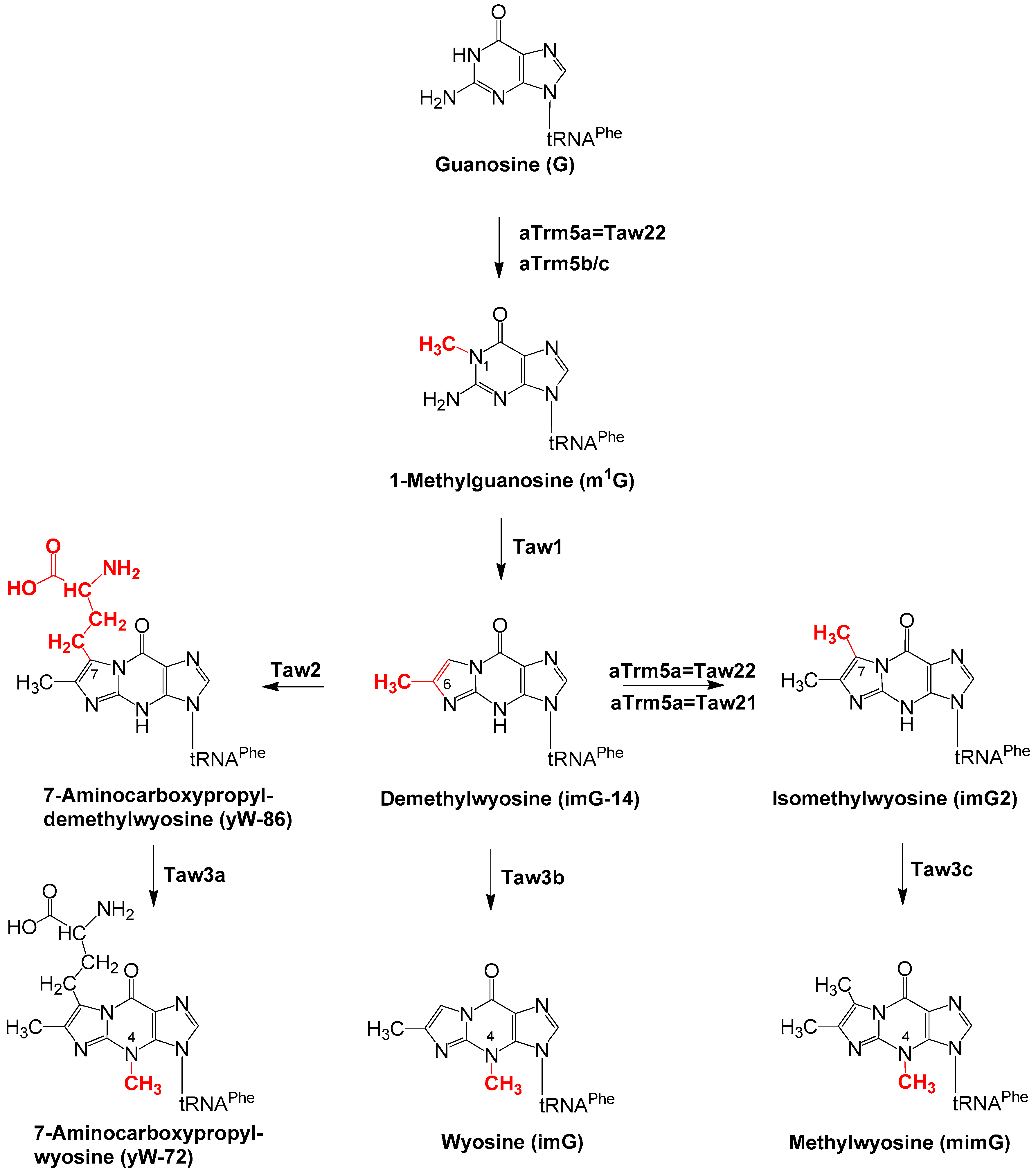 Biomolecules 10 01627 sch001