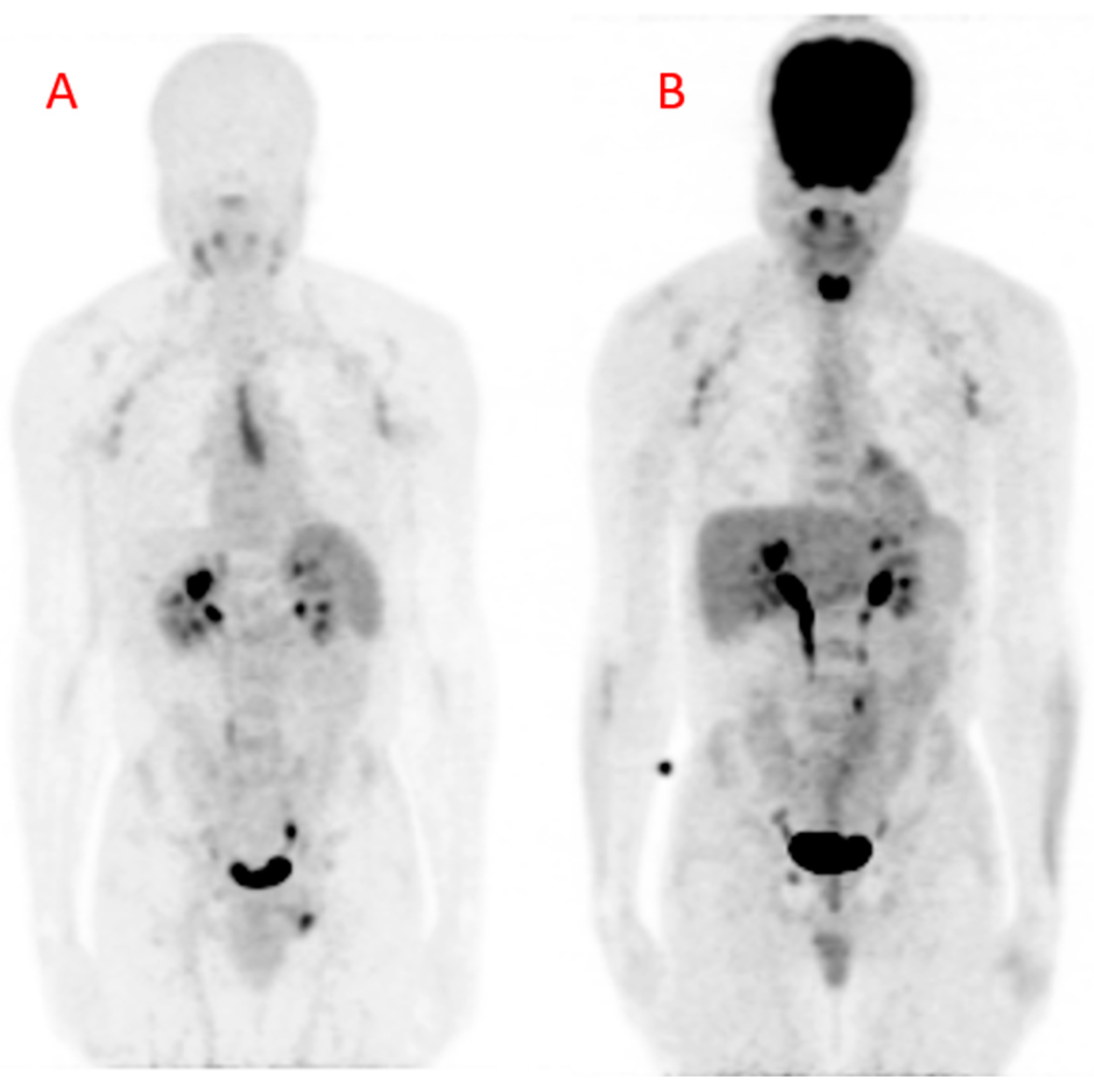 Biomolecules 10 01629 g004 Biomolecules 10 01629 g004