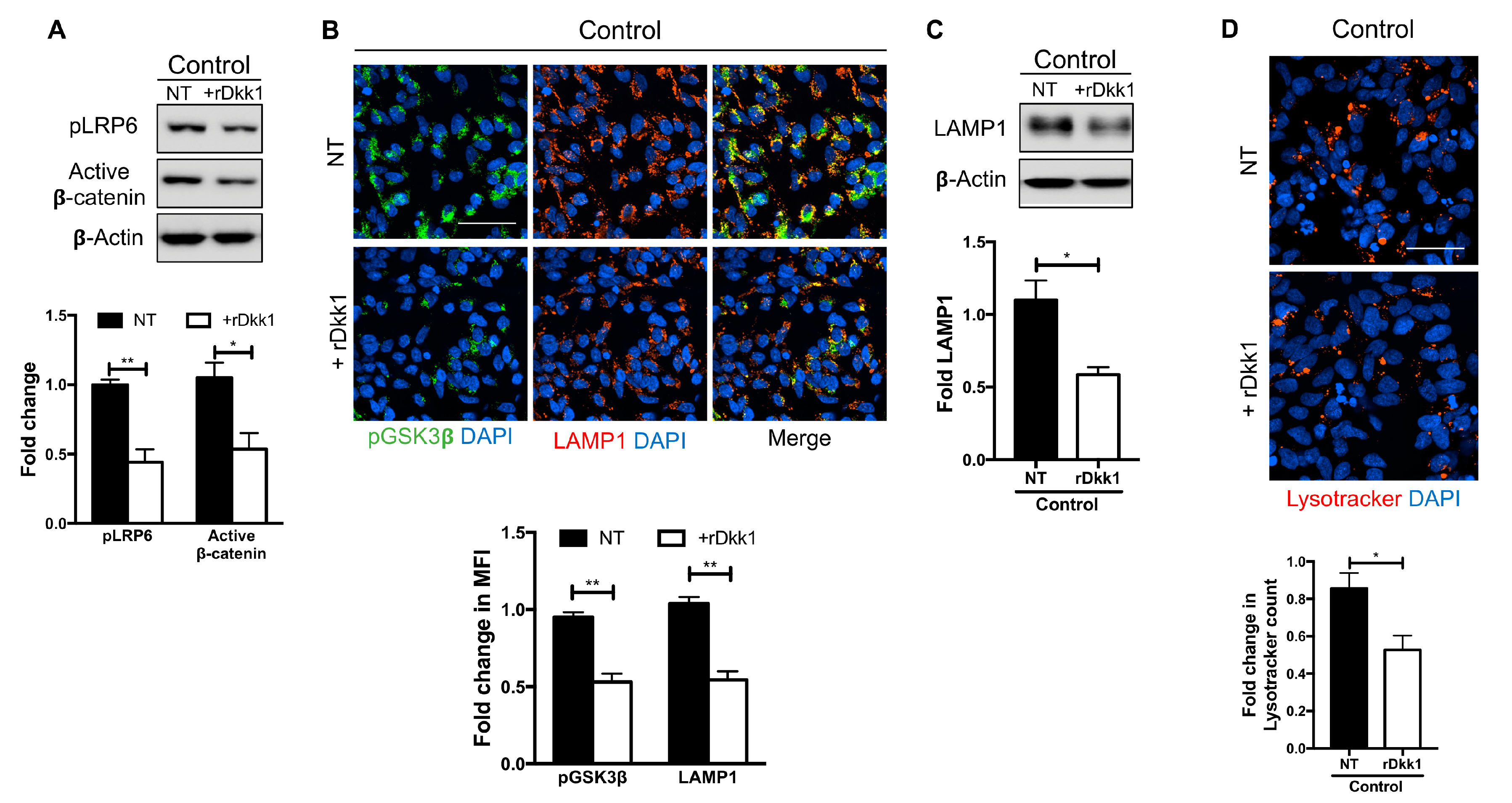 Biomolecules 10 01630 g002