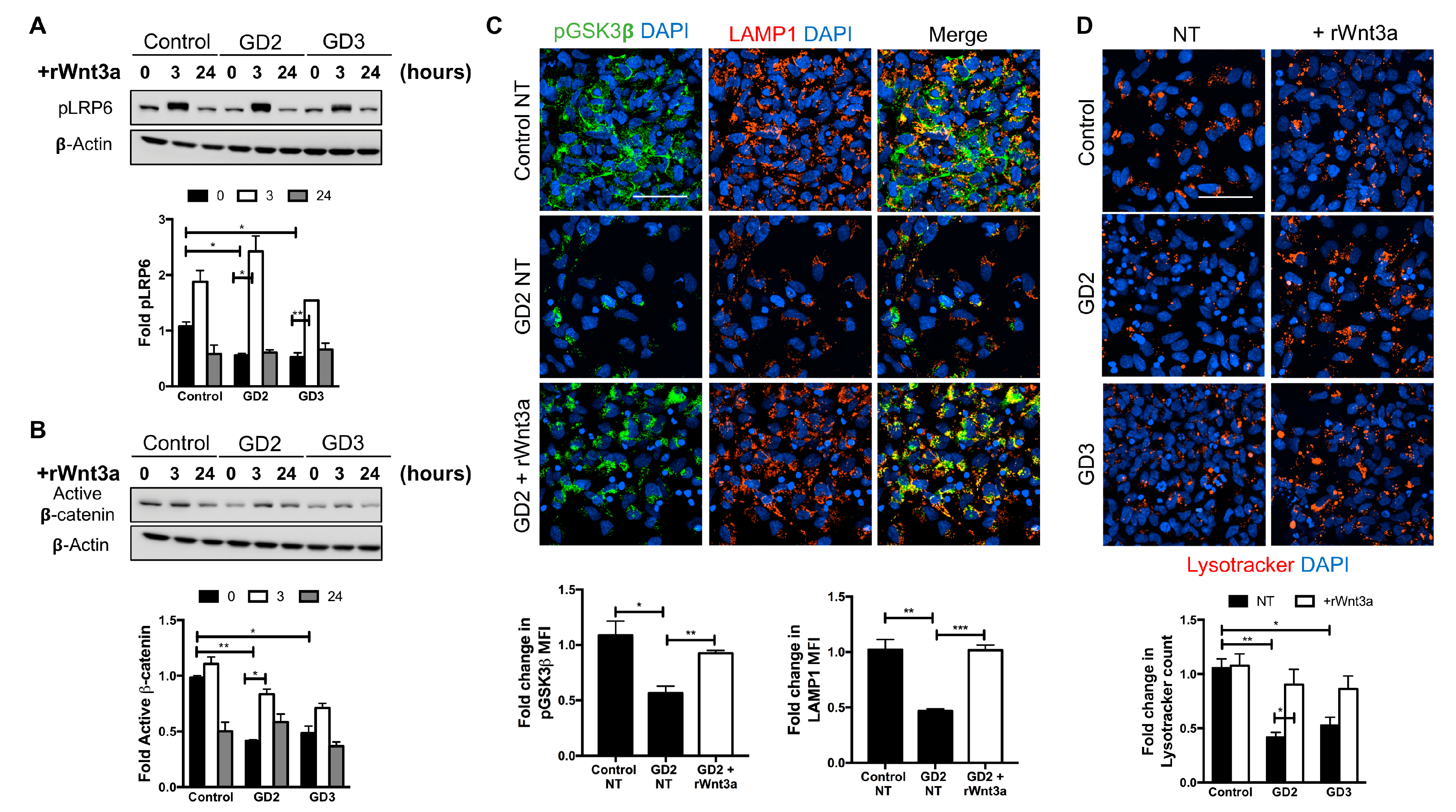 Biomolecules 10 01630 g003