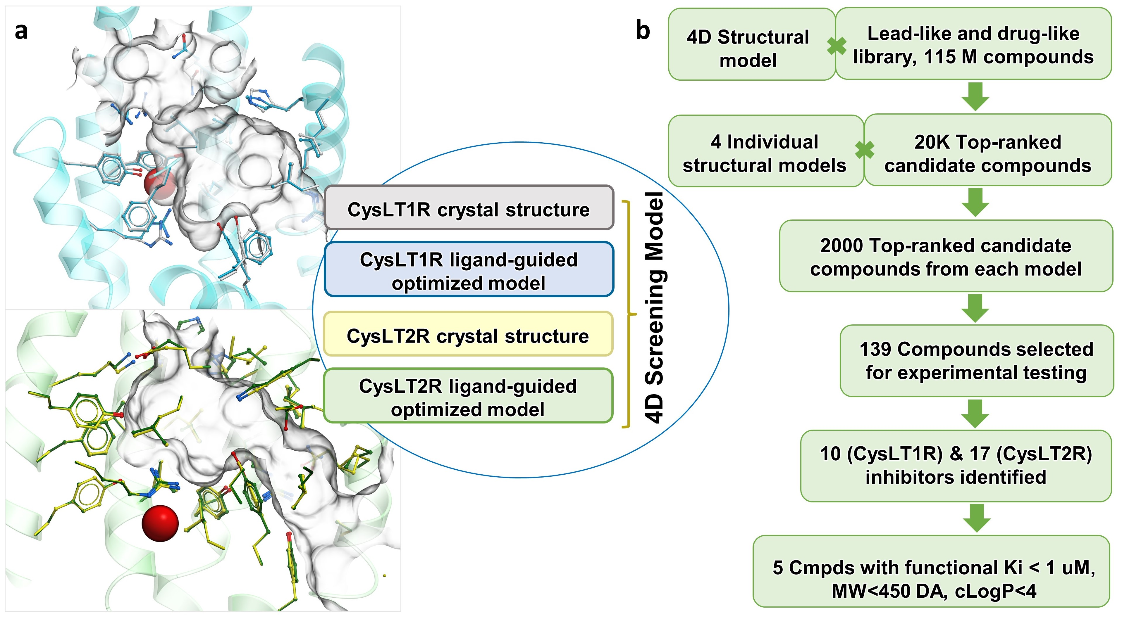 Biomolecules 10 01634 g001