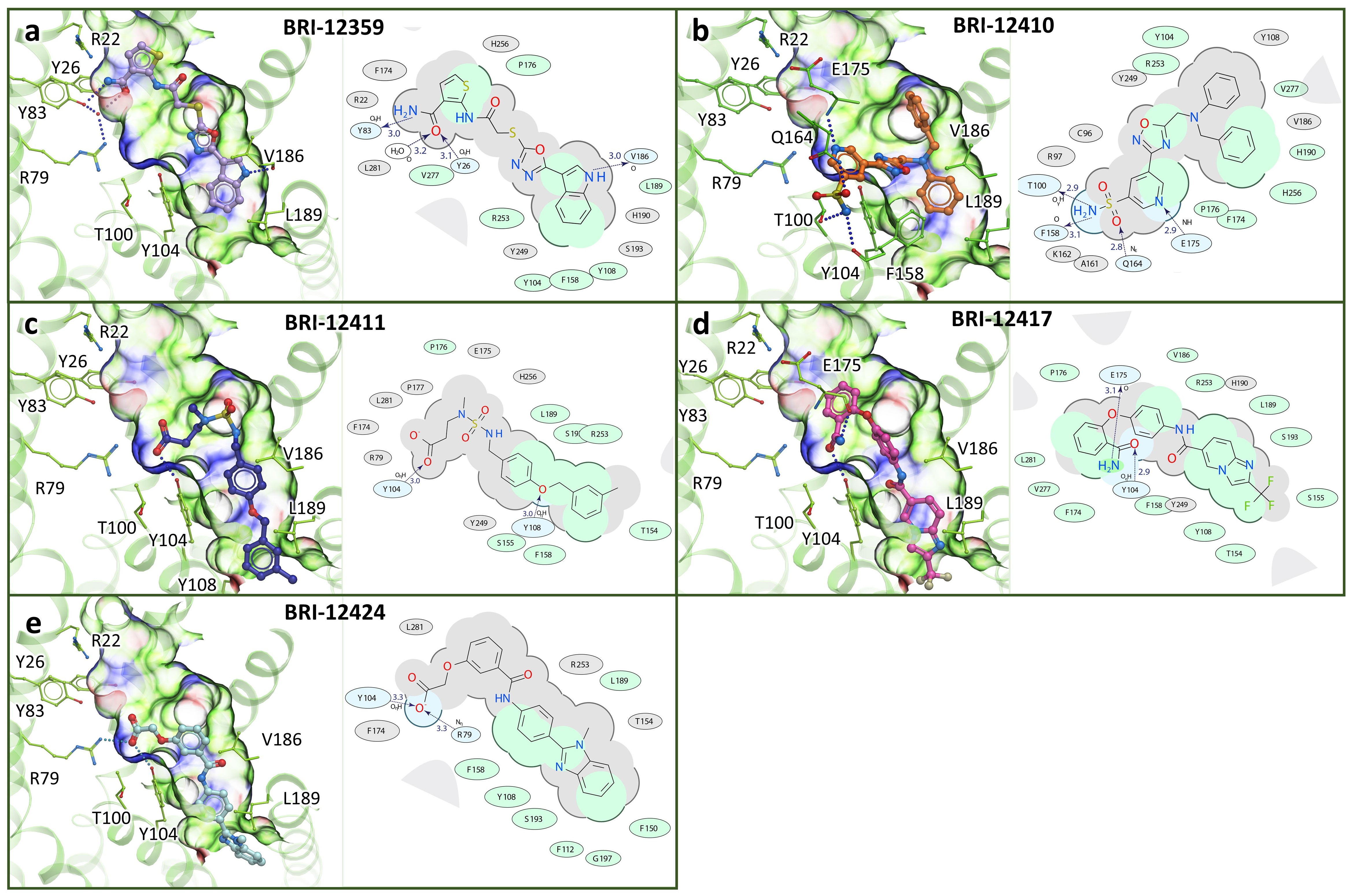 Biomolecules 10 01634 g006