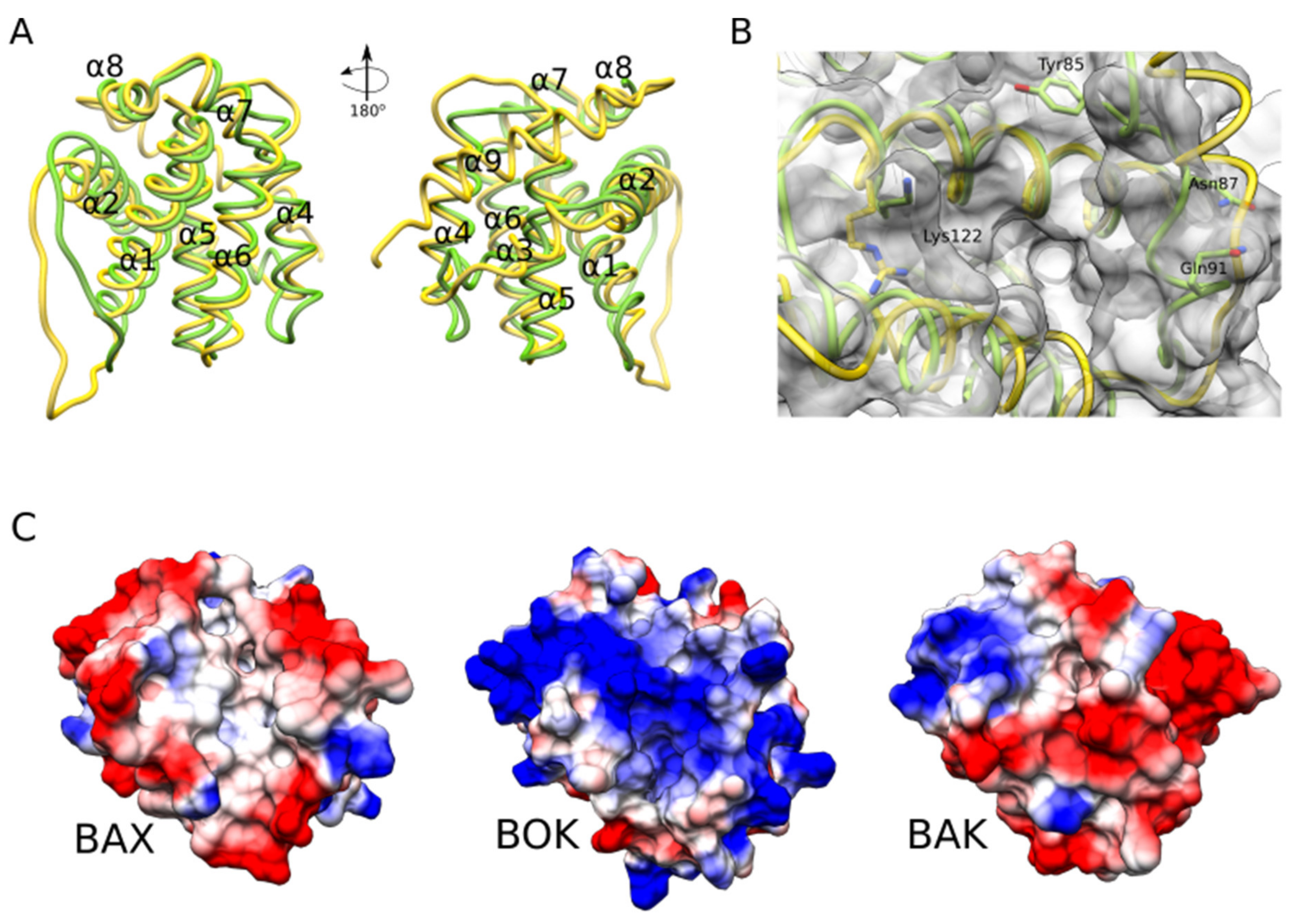 Biomolecules 10 01638 g003 Biomolecules 10 01638 g003