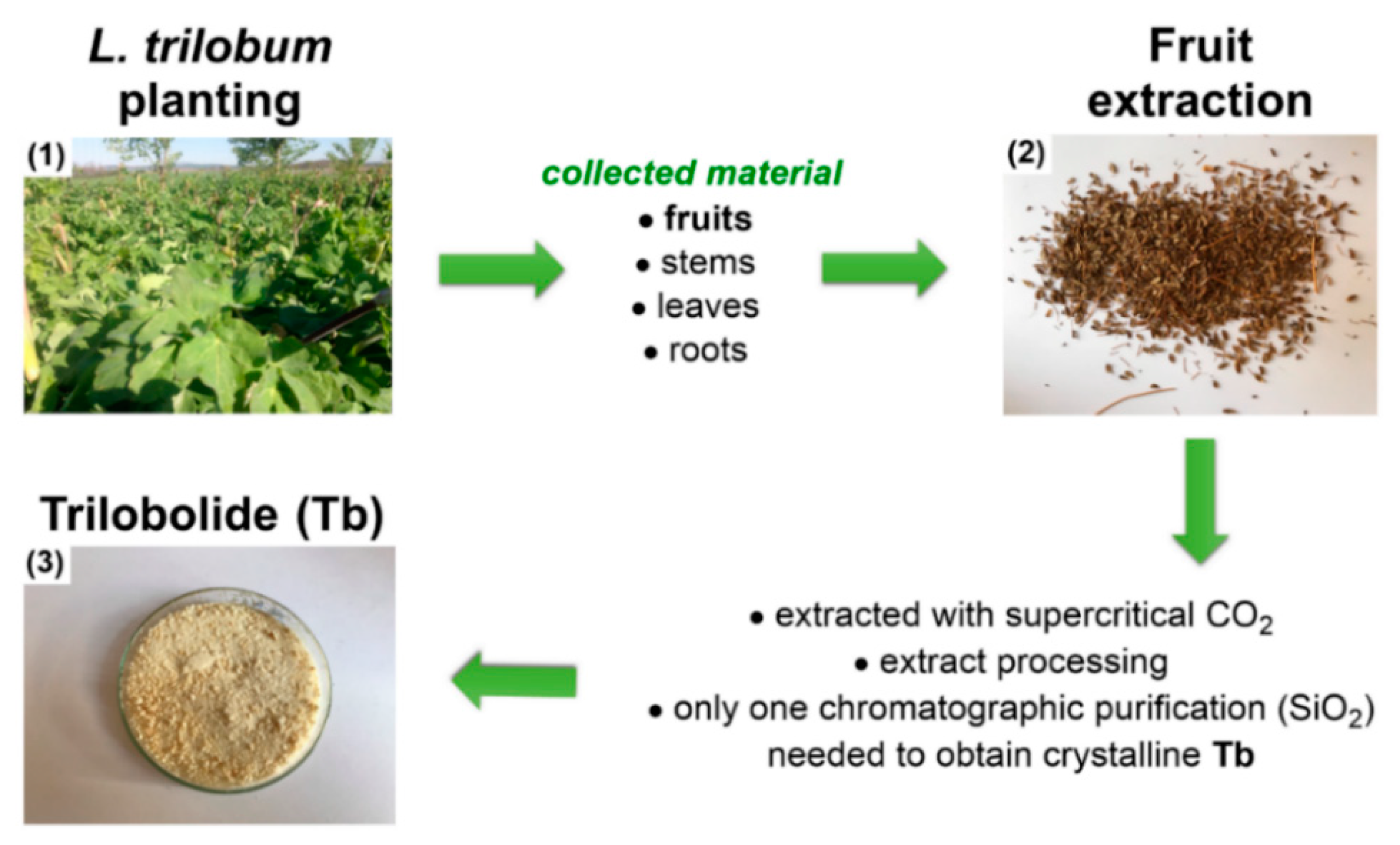 Biomolecules 10 01640 g002