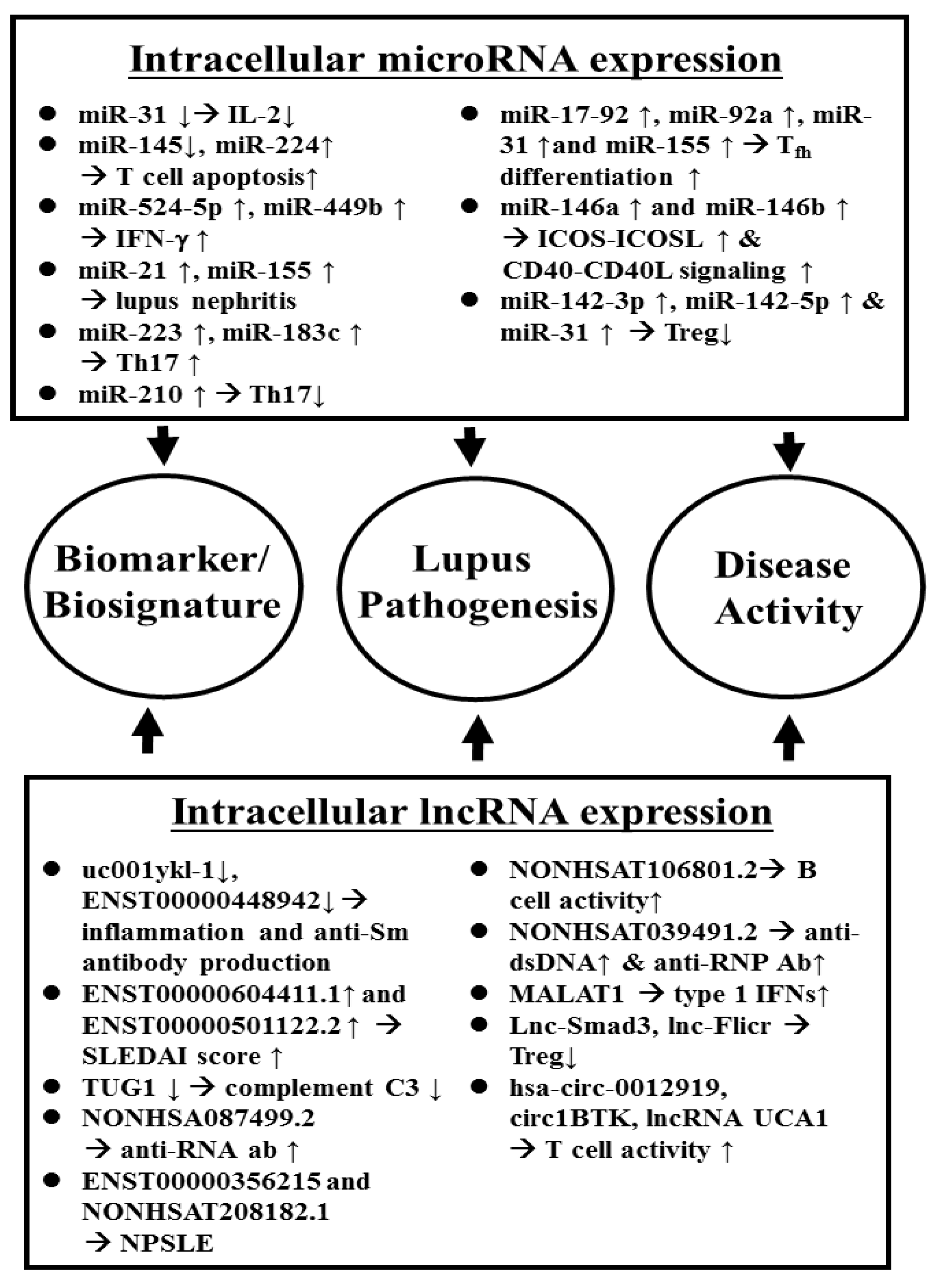 Biomolecules 10 01641 g001 Biomolecules 10 01641 g001