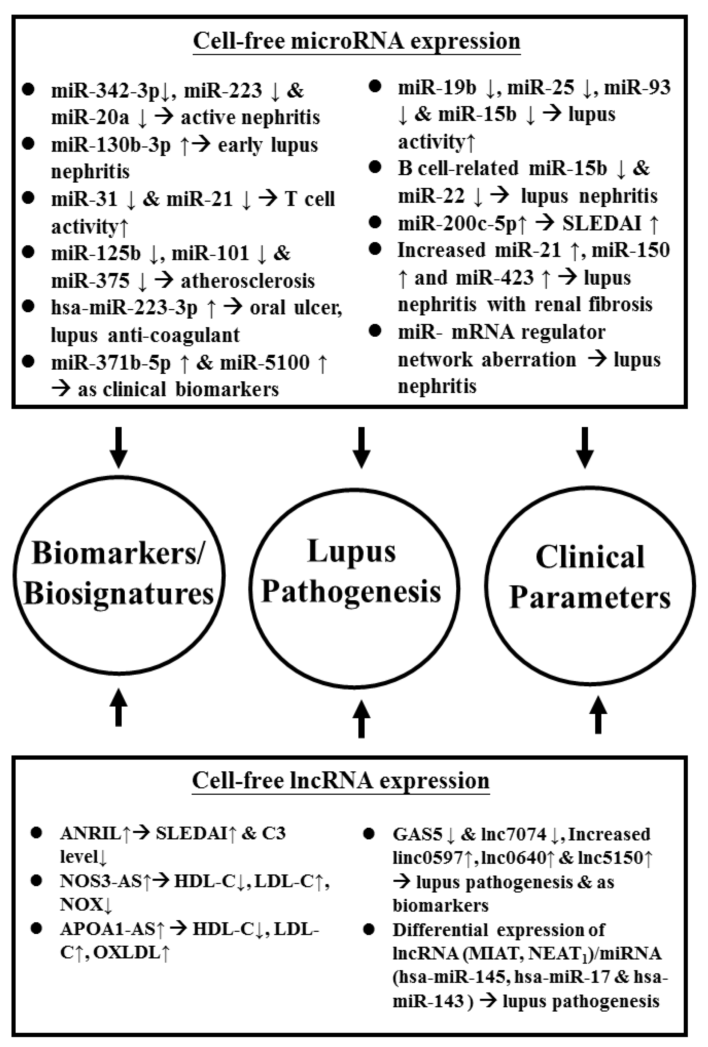 Biomolecules 10 01641 g002 Biomolecules 10 01641 g002