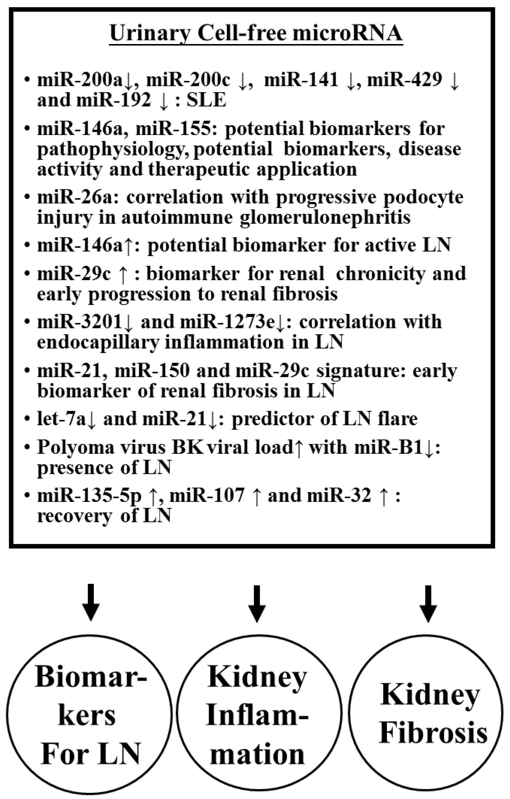 Biomolecules 10 01641 g003 Biomolecules 10 01641 g003