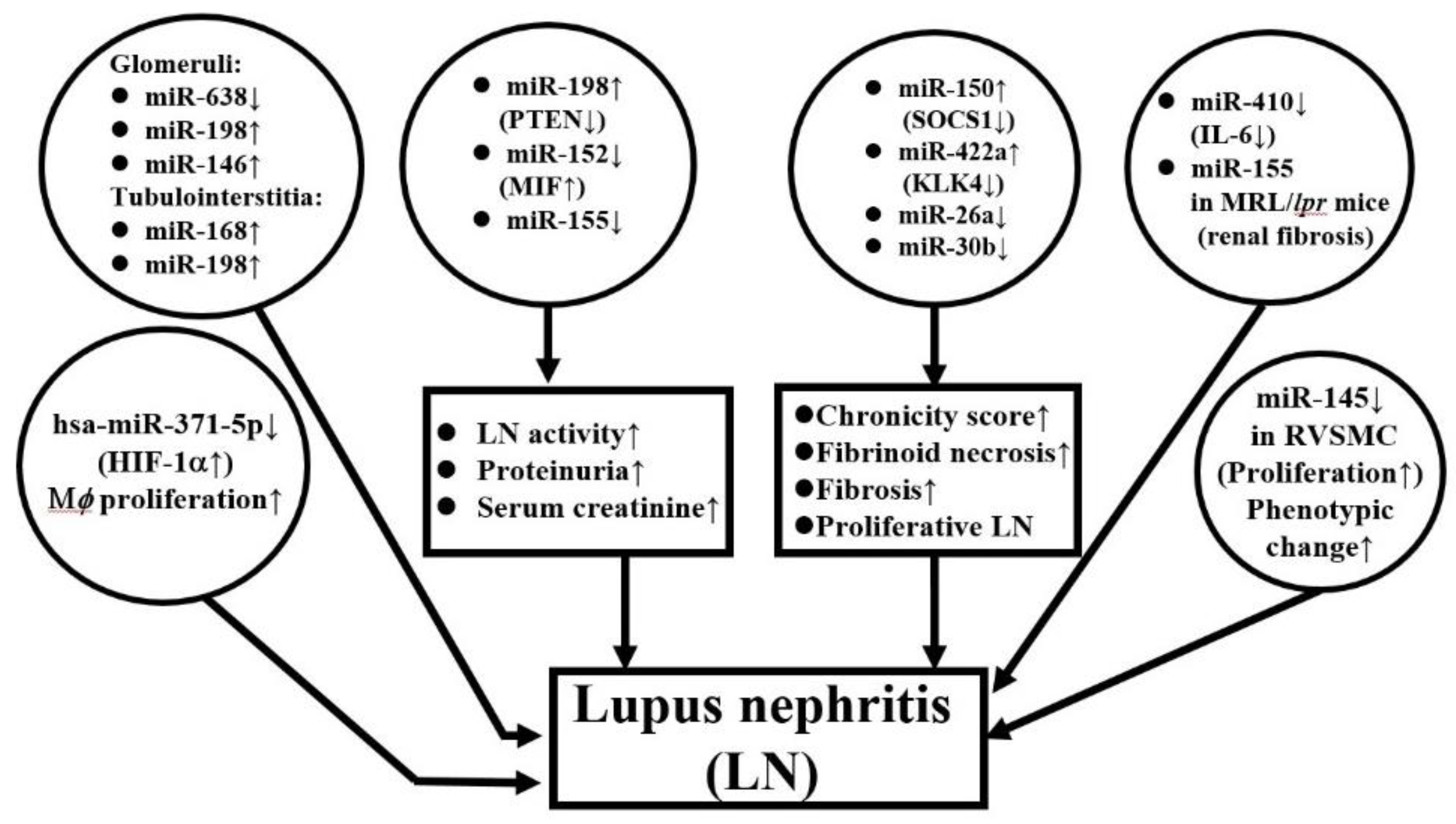 Biomolecules 10 01641 g004 Biomolecules 10 01641 g004