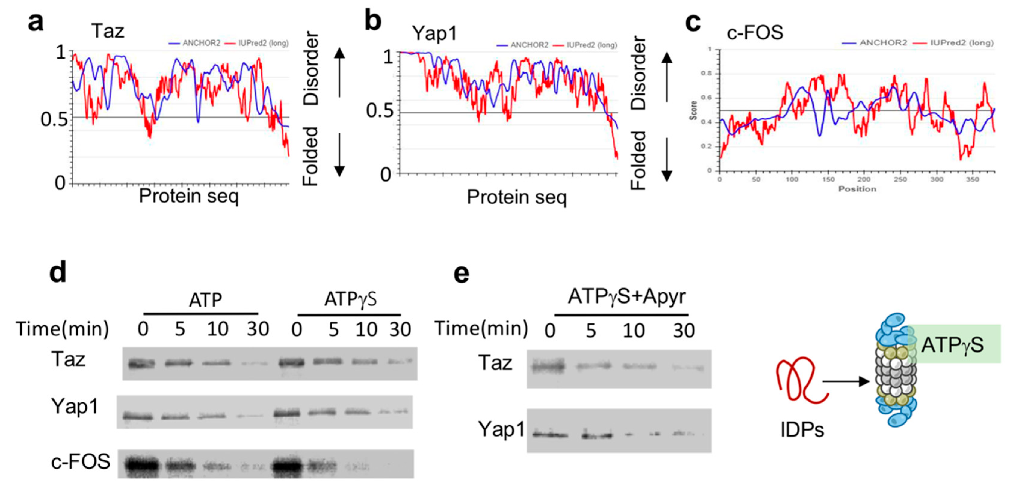 Biomolecules 10 01642 g002 Biomolecules 10 01642 g002