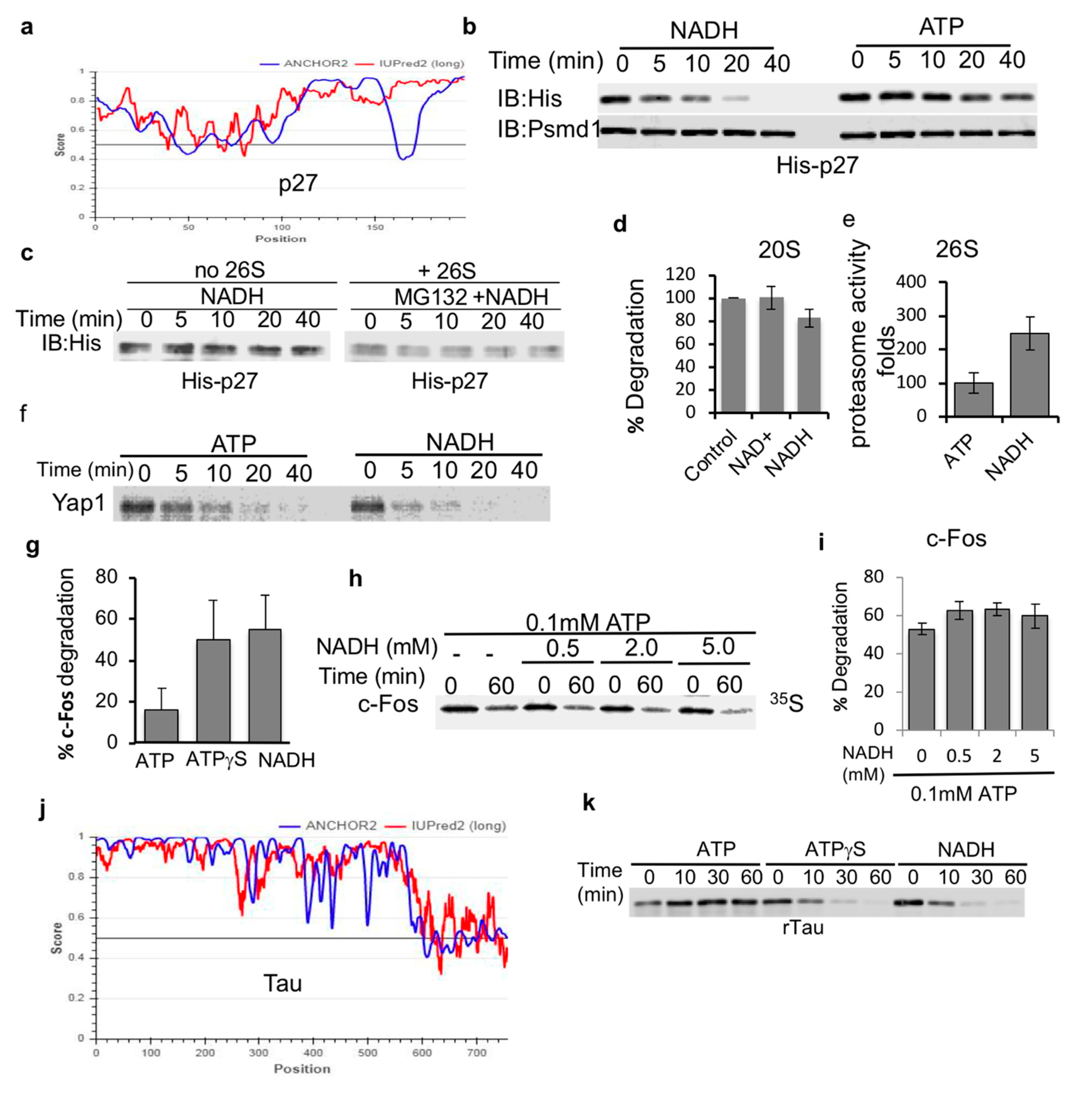 Biomolecules 10 01642 g003 Biomolecules 10 01642 g003