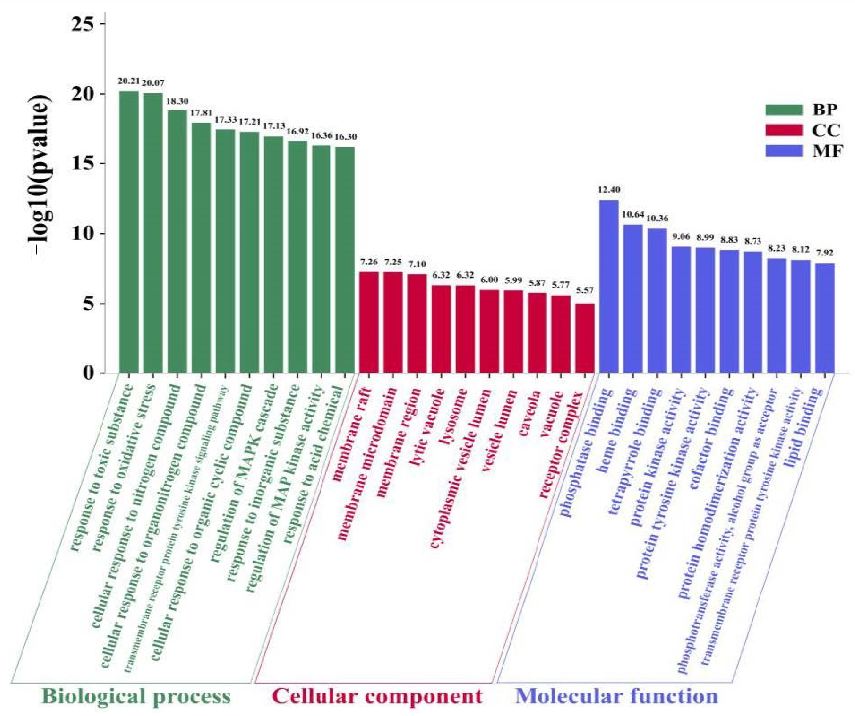 Biomolecules 10 01644 g004 Biomolecules 10 01644 g004
