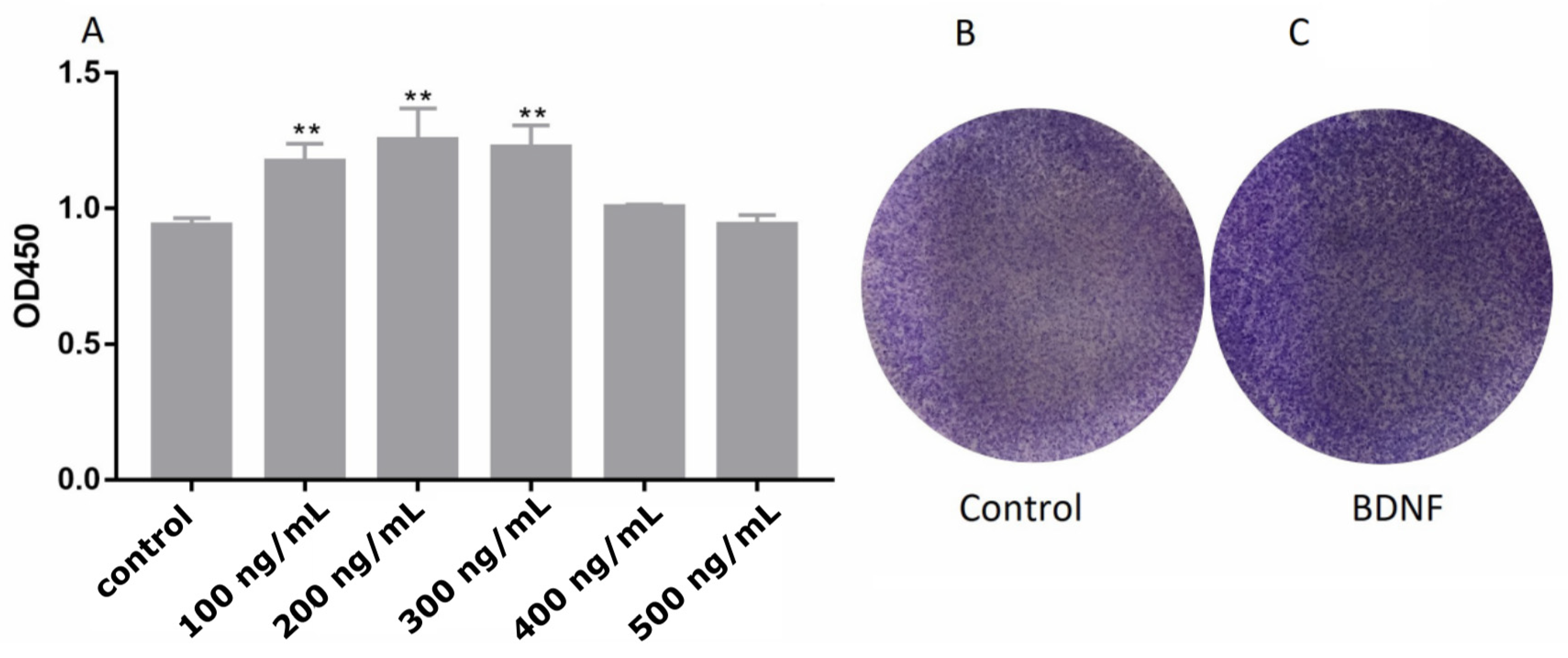 Biomolecules 10 01645 g003 Biomolecules 10 01645 g003