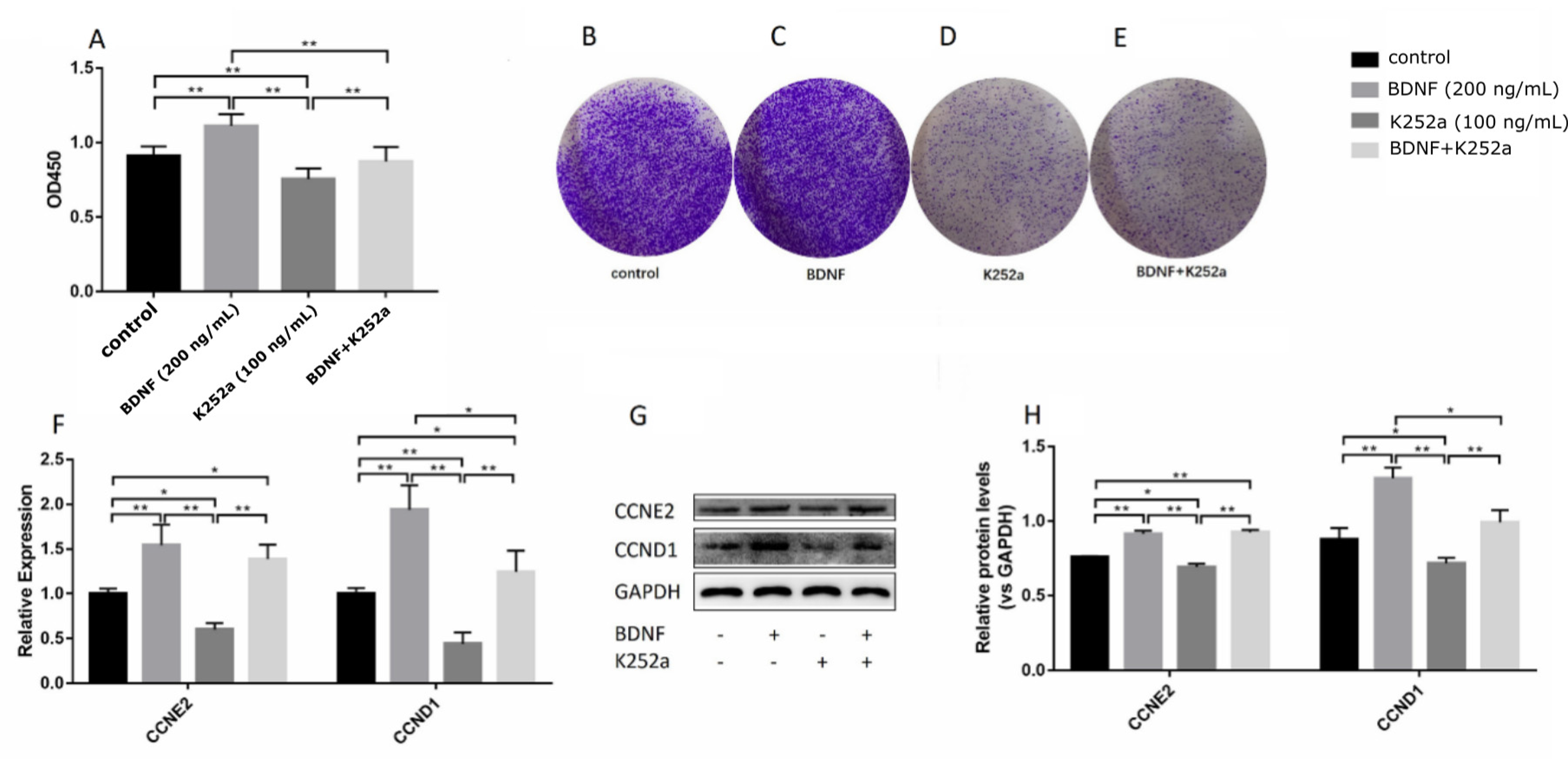 Biomolecules 10 01645 g005 Biomolecules 10 01645 g005