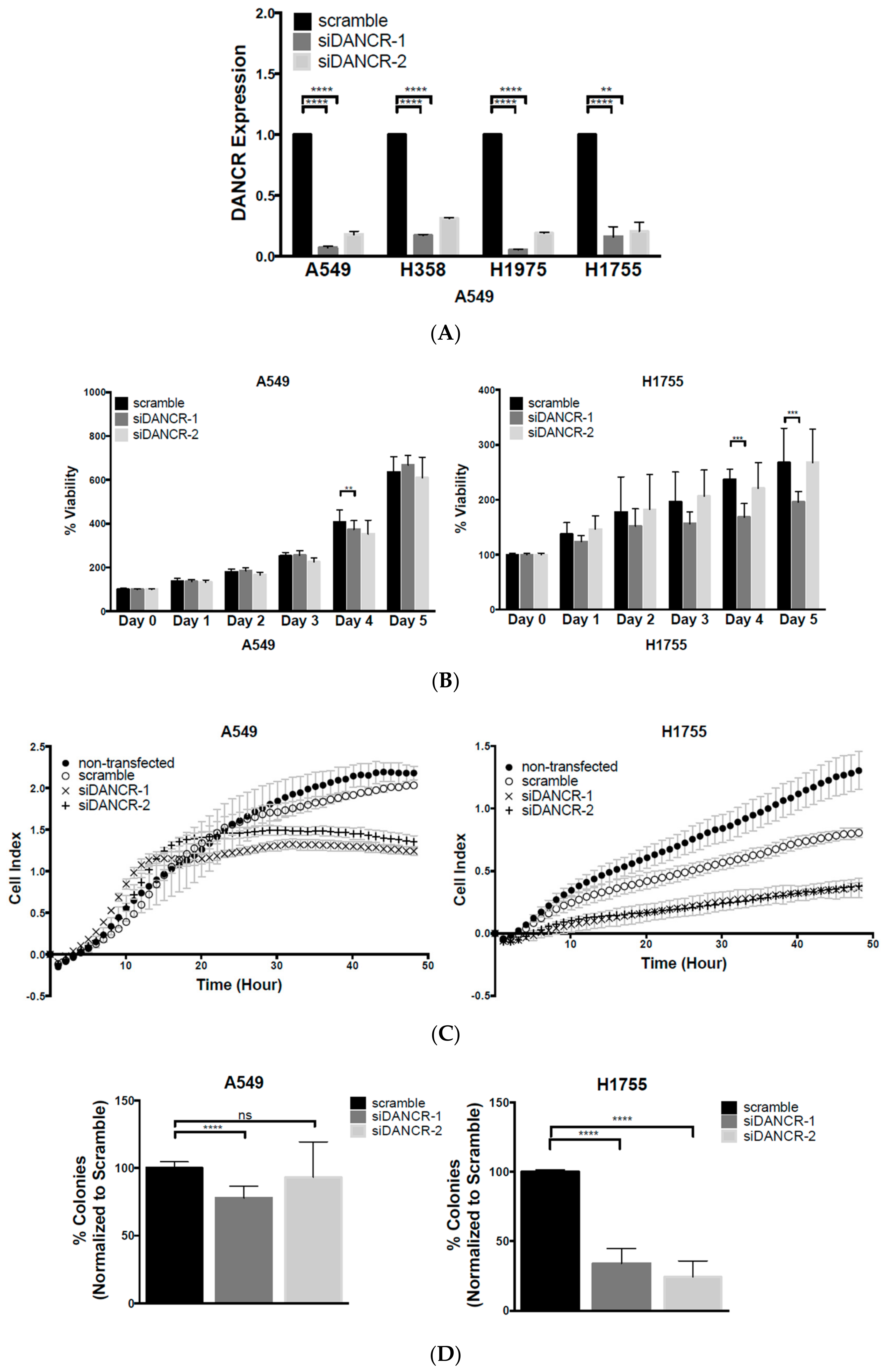 Biomolecules 10 01646 g002 Biomolecules 10 01646 g002