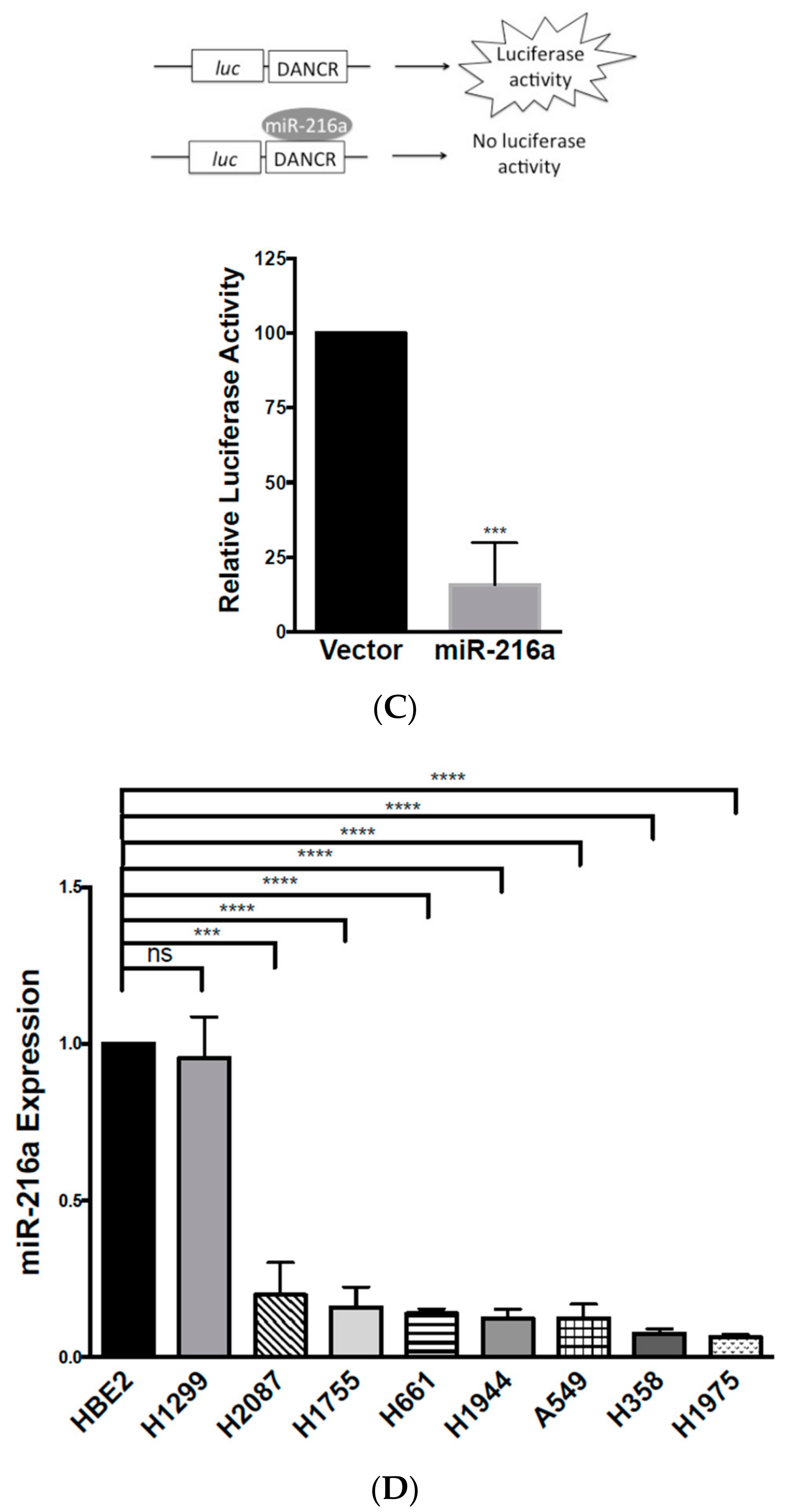 Biomolecules 10 01646 g005b Biomolecules 10 01646 g005b