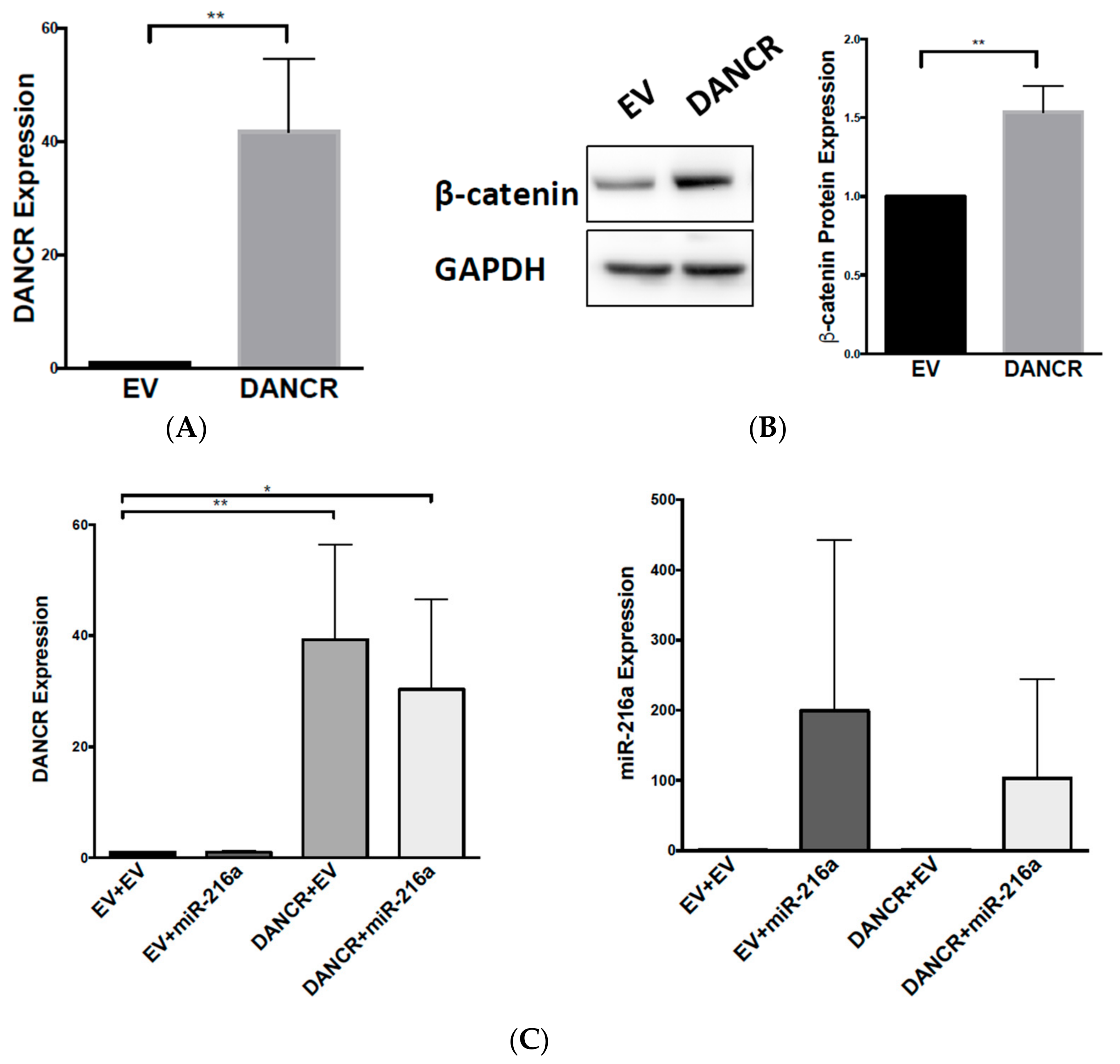 Biomolecules 10 01646 g006a Biomolecules 10 01646 g006a