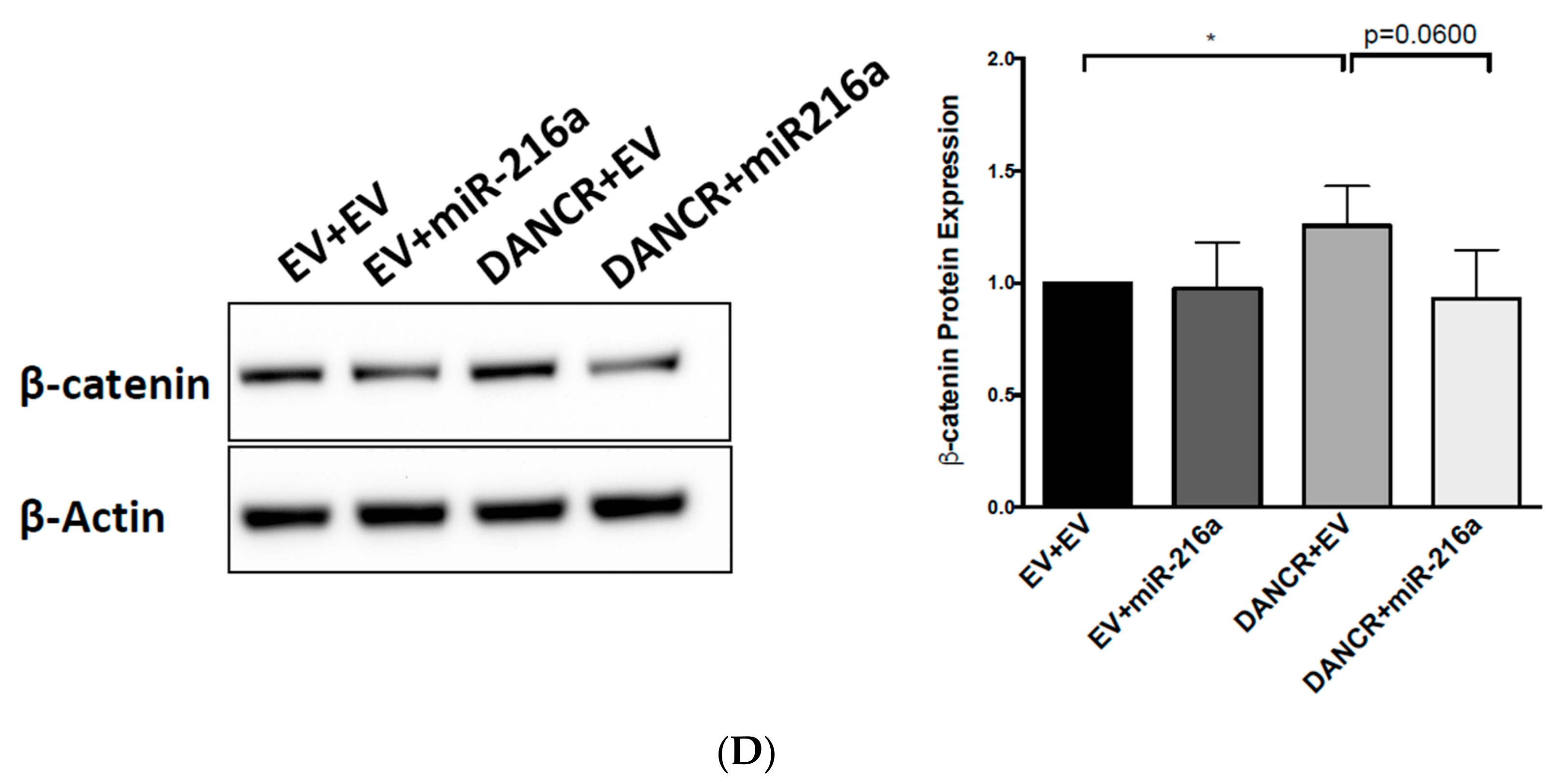 Biomolecules 10 01646 g006b Biomolecules 10 01646 g006b