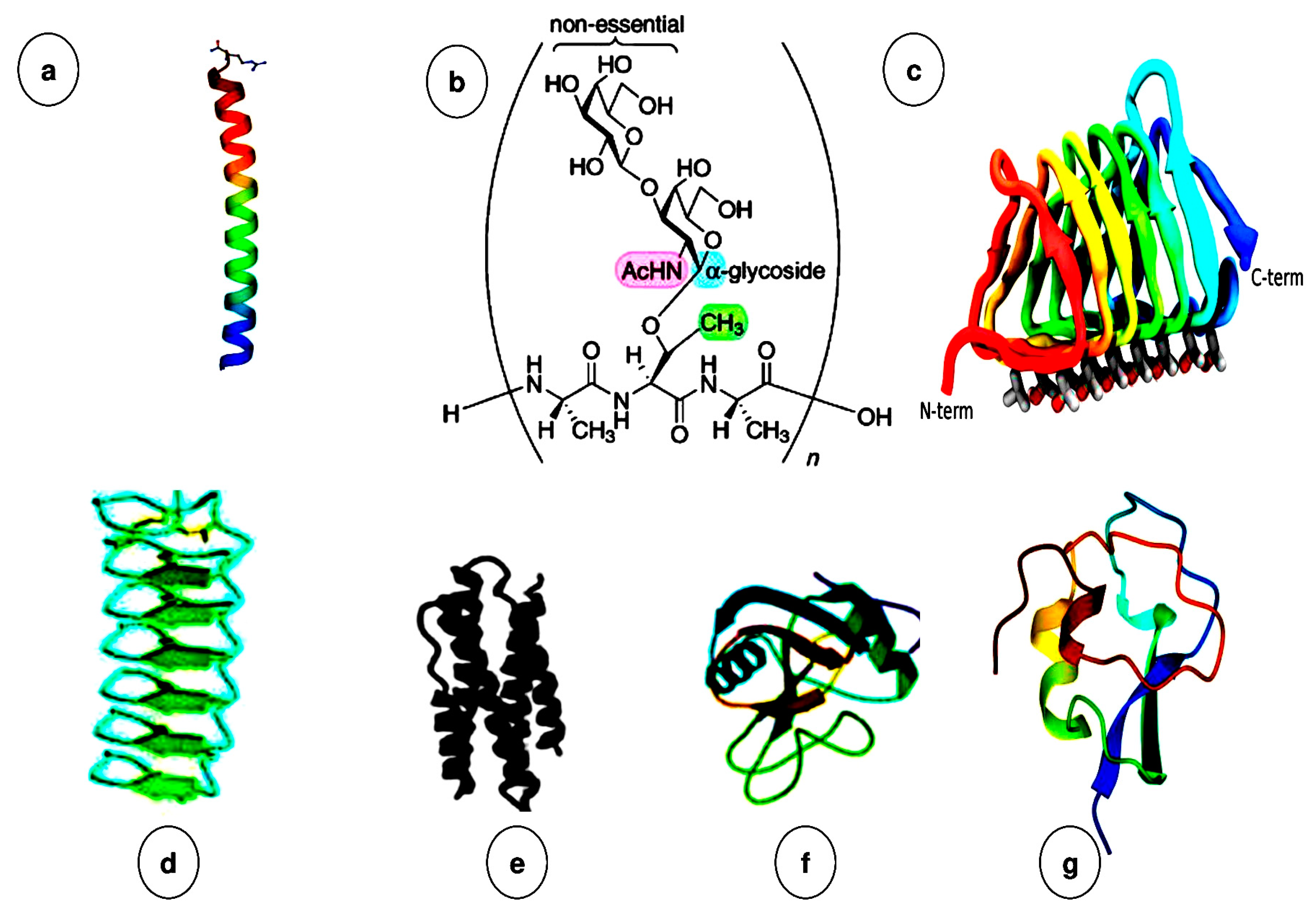 Biomolecules 10 01649 g004 Biomolecules 10 01649 g004