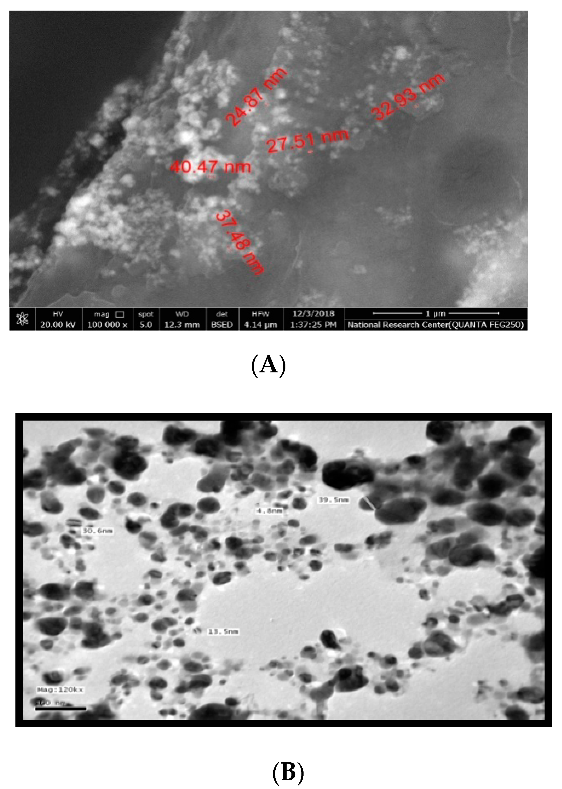 Biomolecules 10 01650 g002