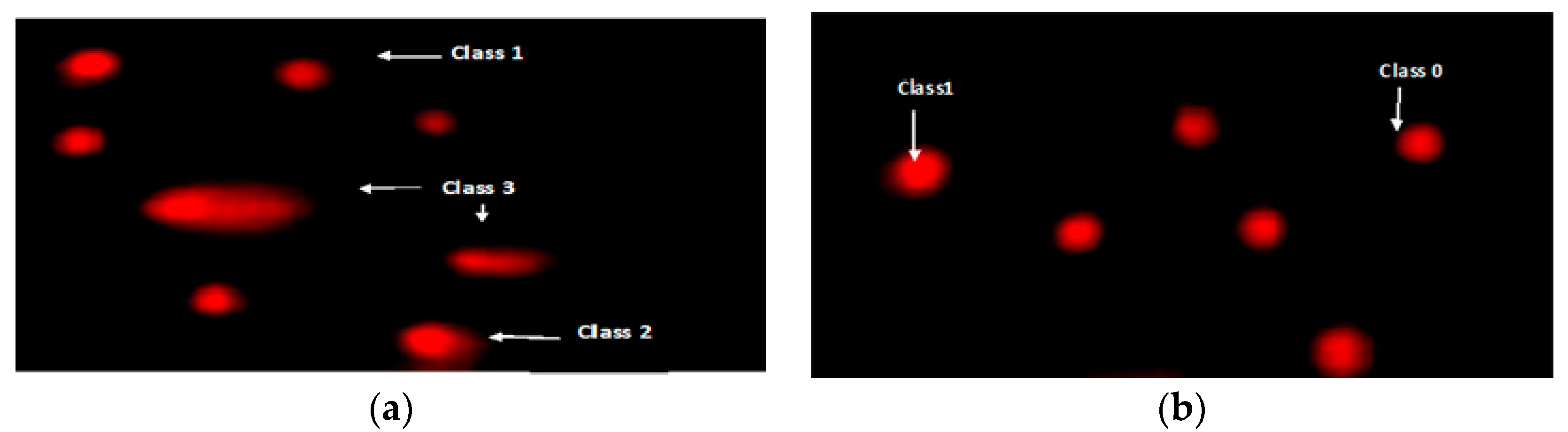 Biomolecules 10 01650 g004