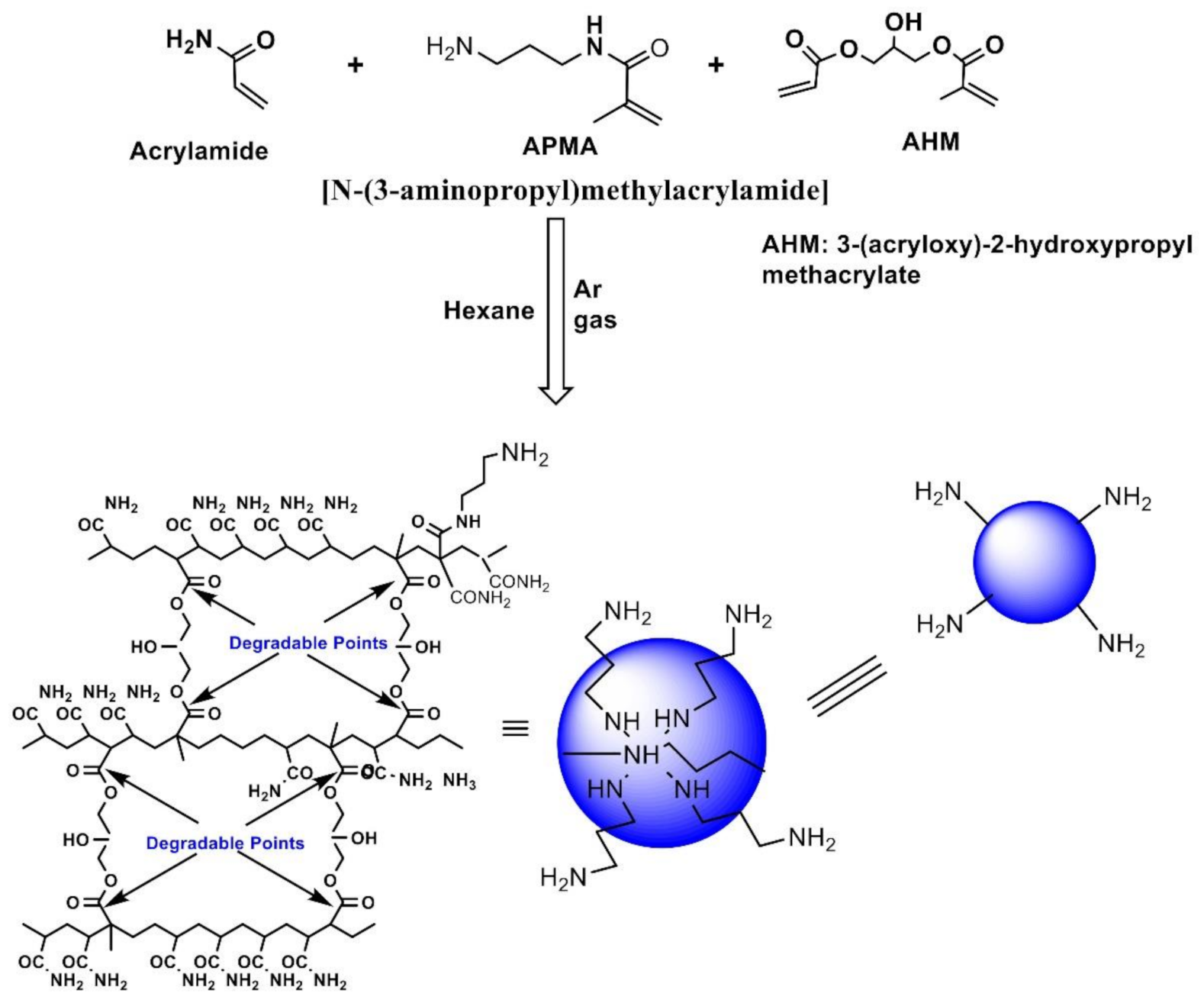 Biomolecules 10 01651 sch001