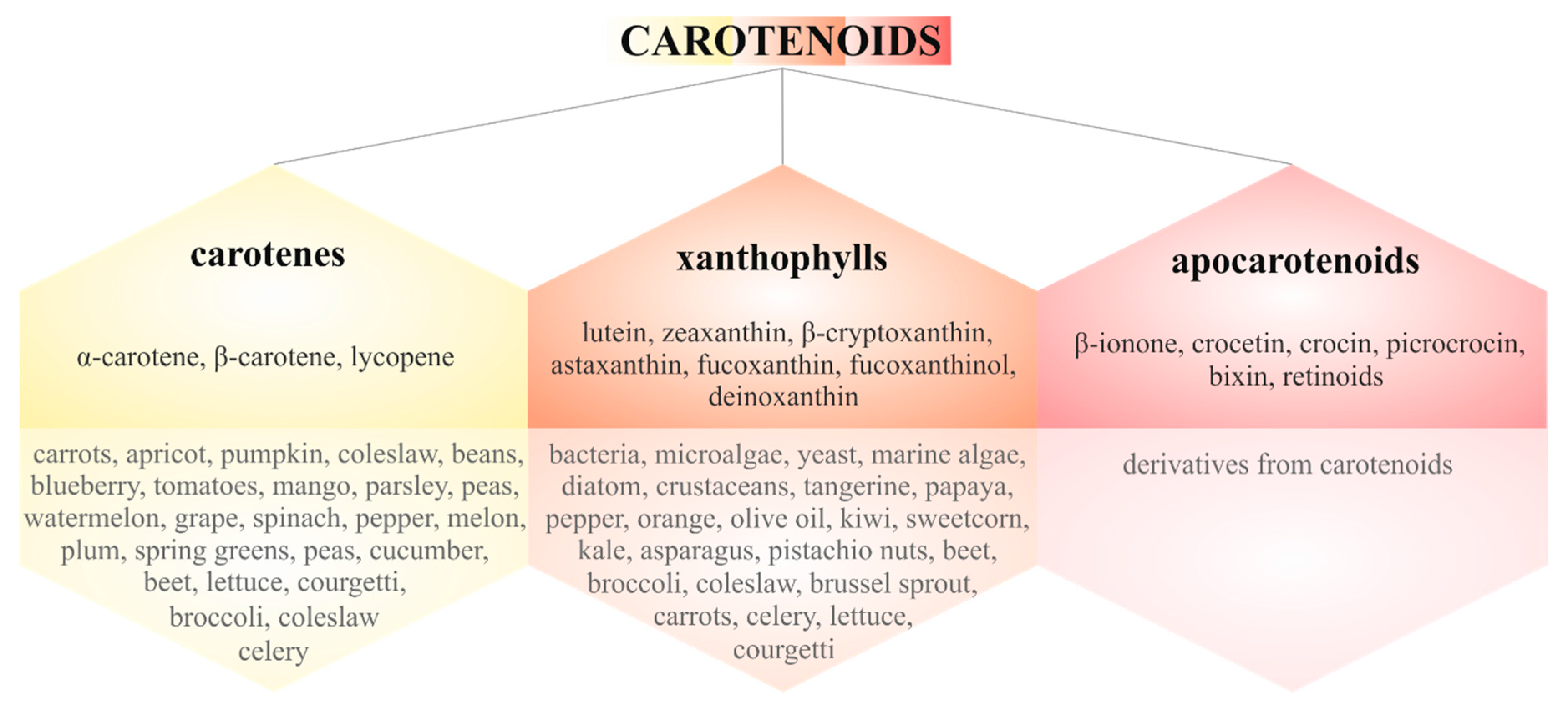 Biomolecules 10 01653 g002