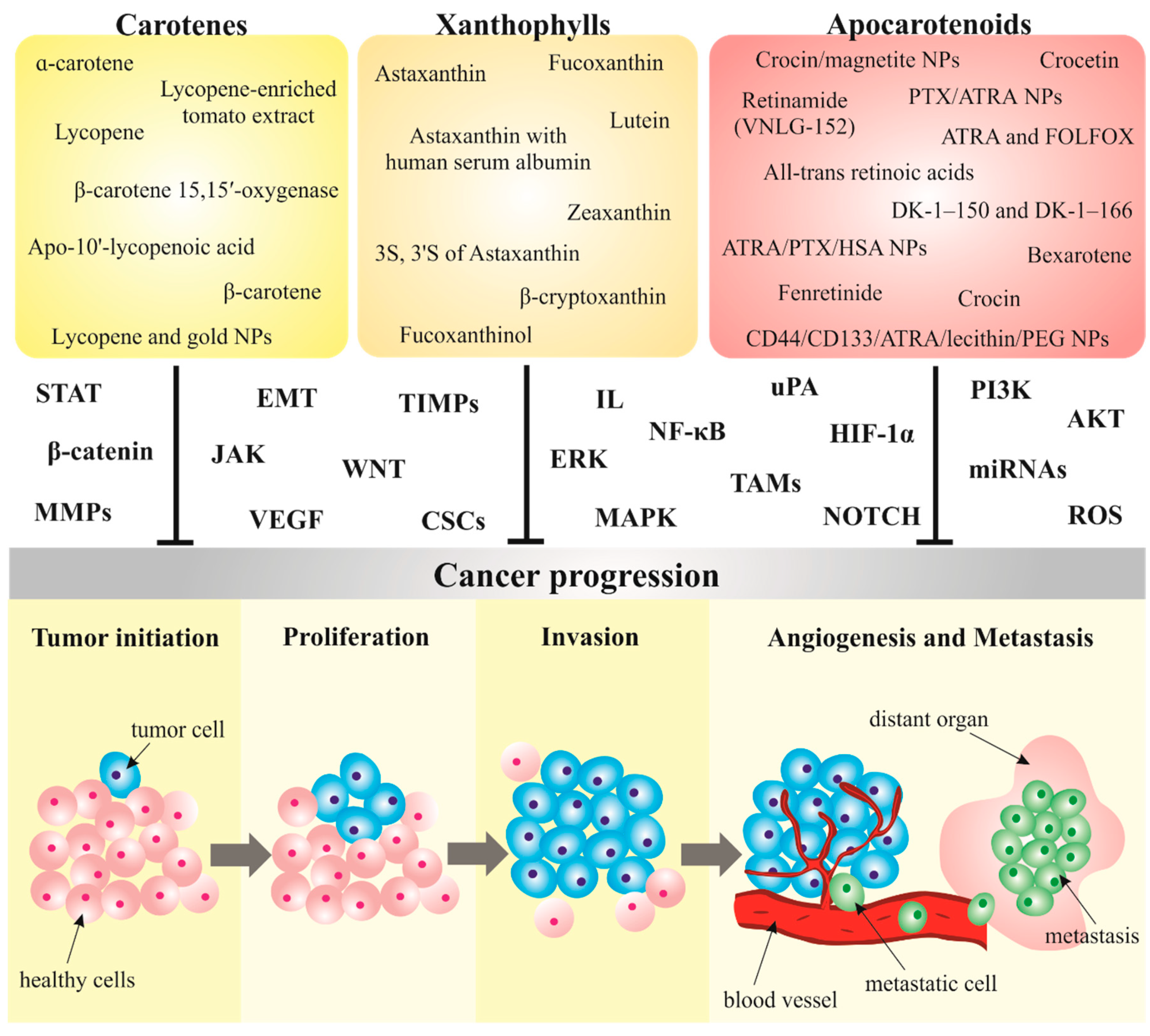 Biomolecules 10 01653 g003