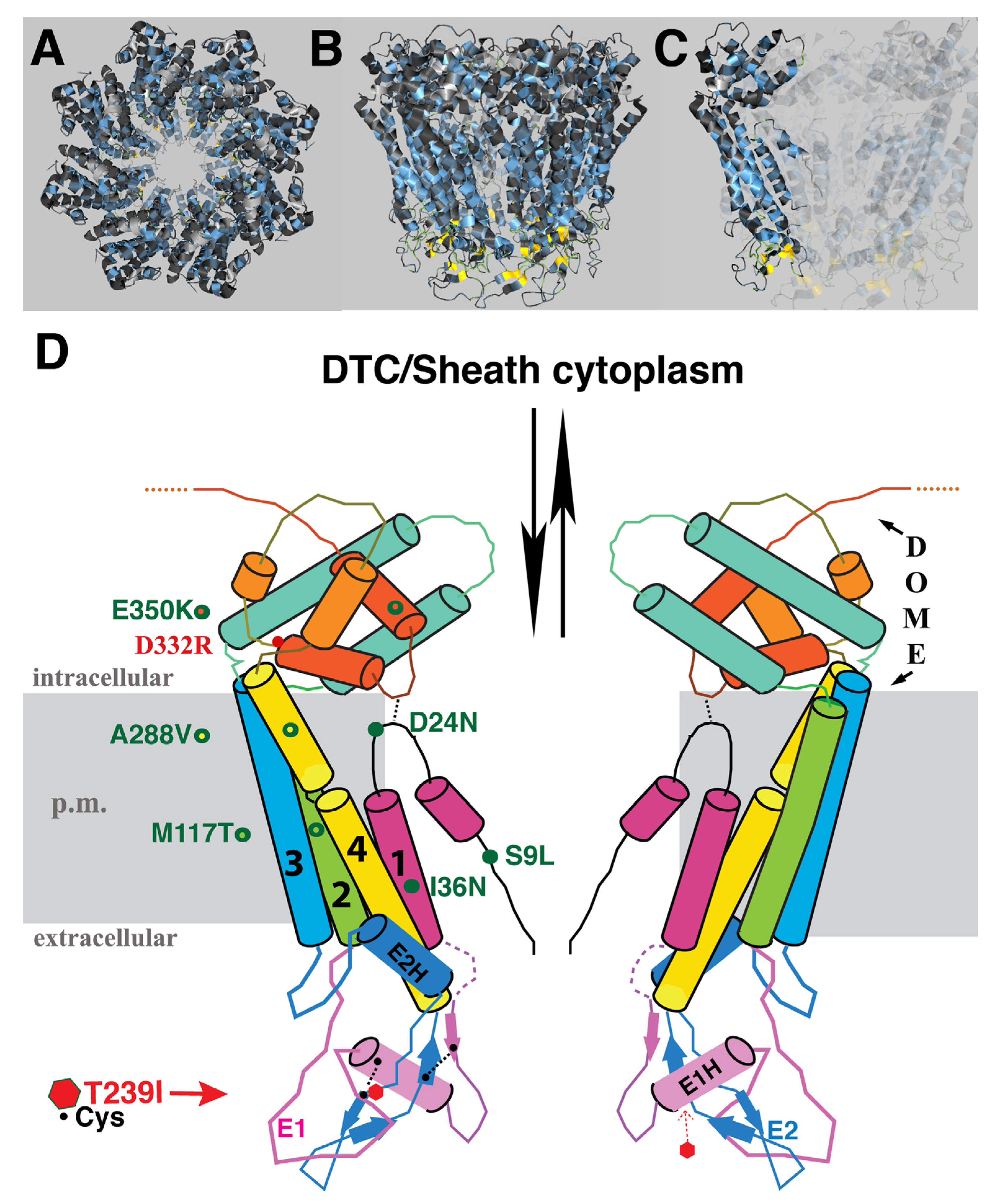 Biomolecules 10 01655 g003