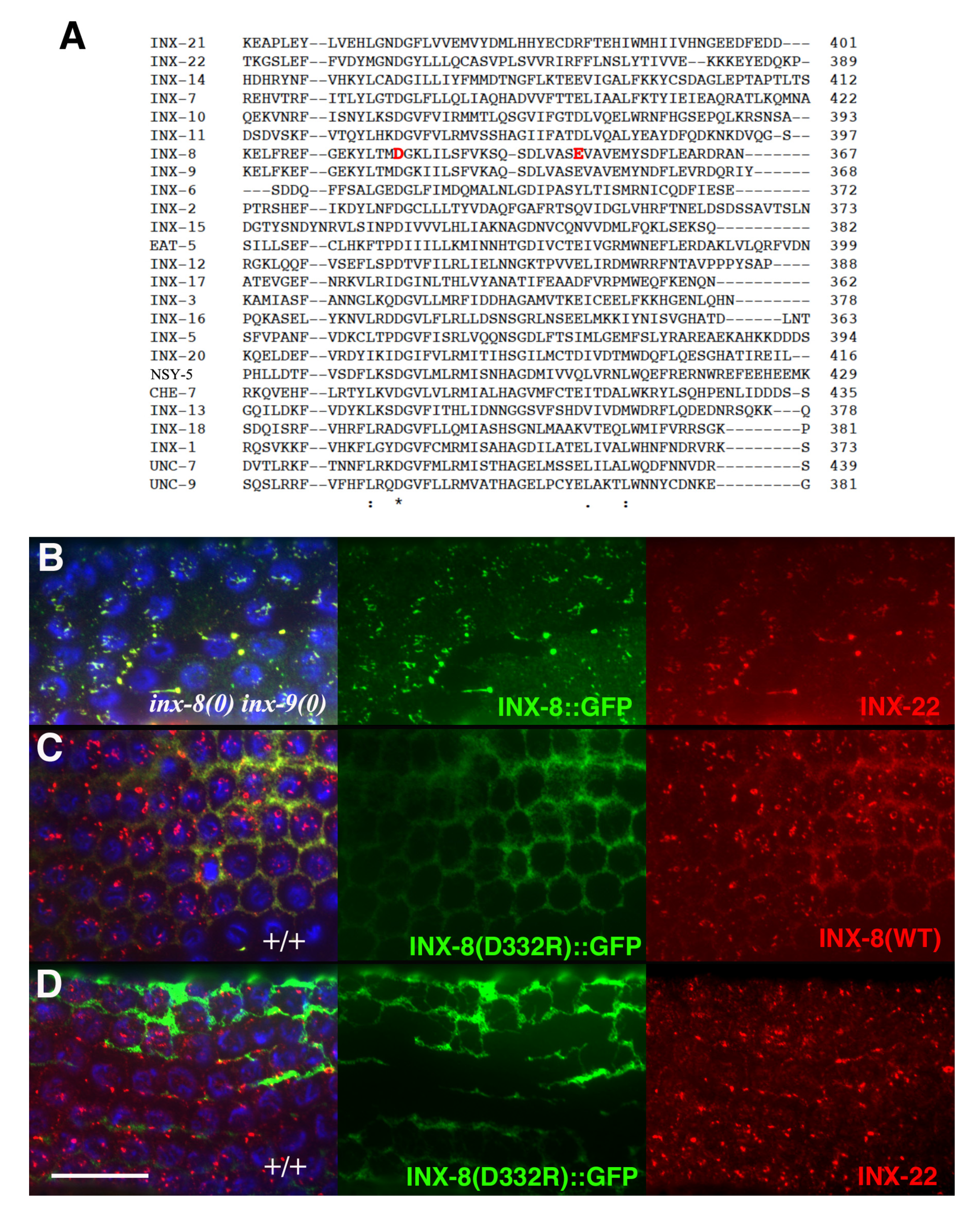 Biomolecules 10 01655 g006