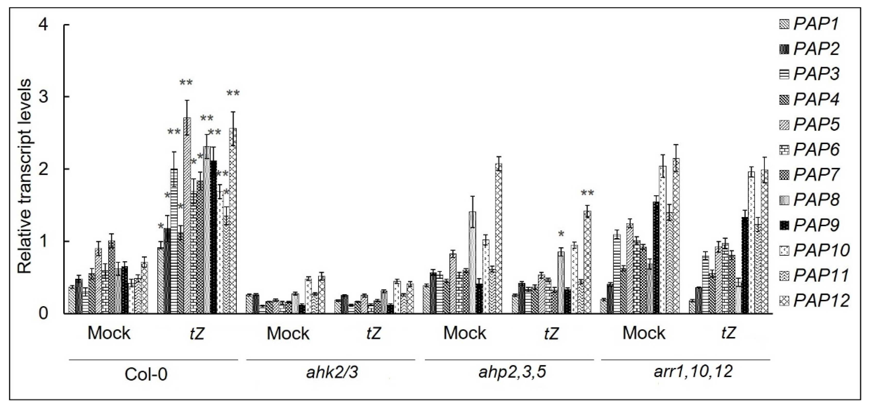 Biomolecules 10 01658 g002 Biomolecules 10 01658 g002