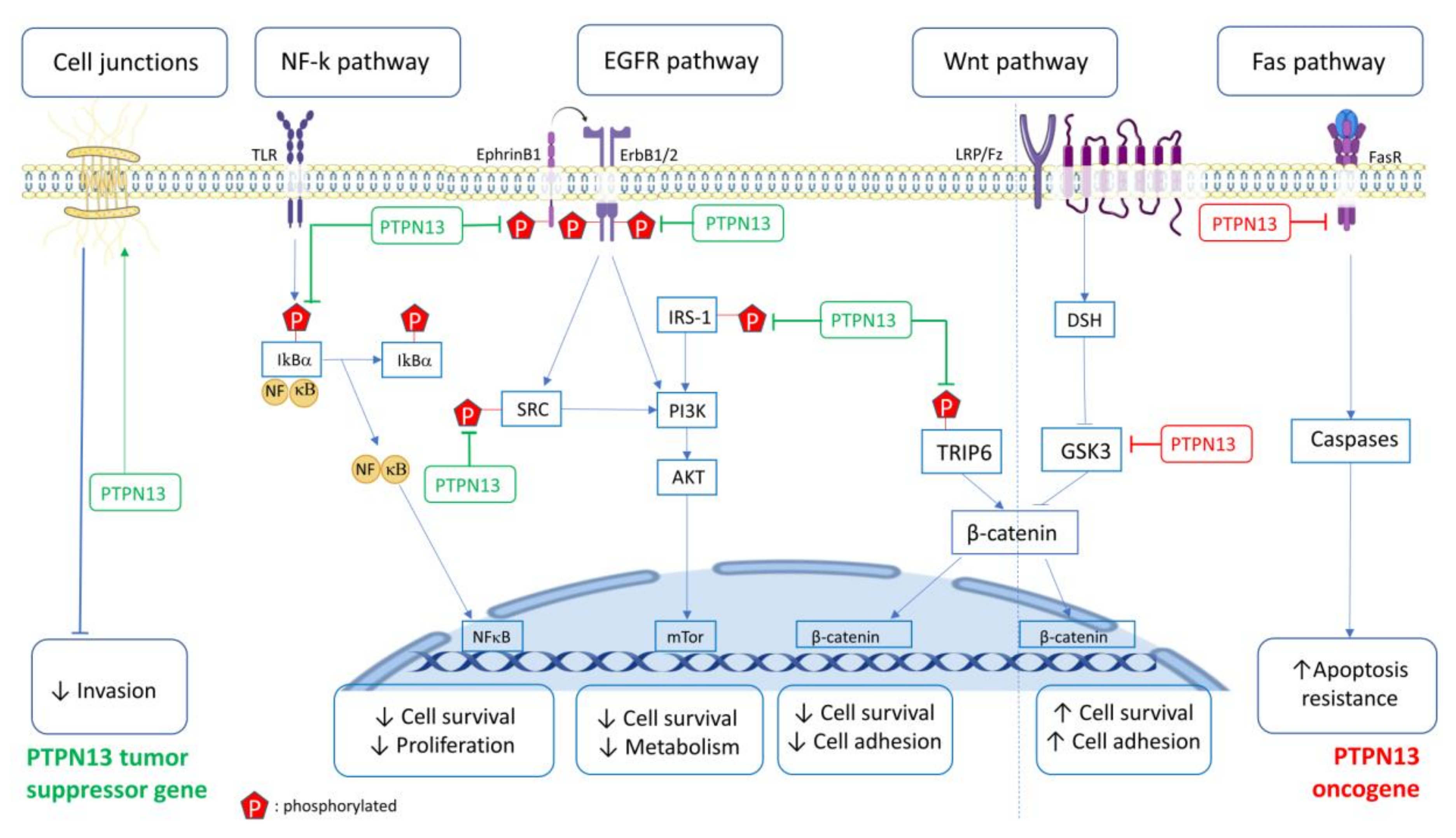 Biomolecules 10 01659 g002