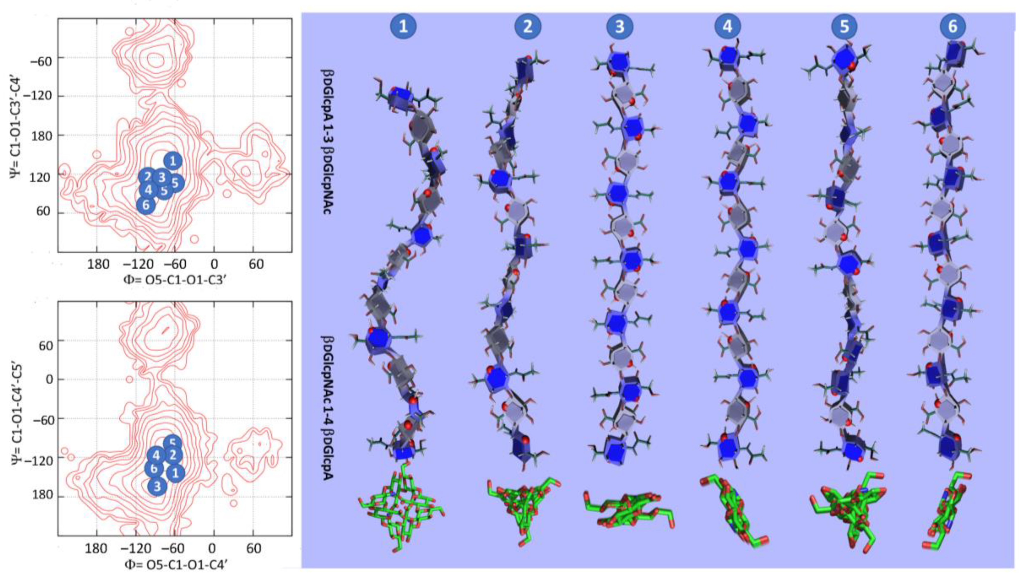 Biomolecules 10 01660 g008