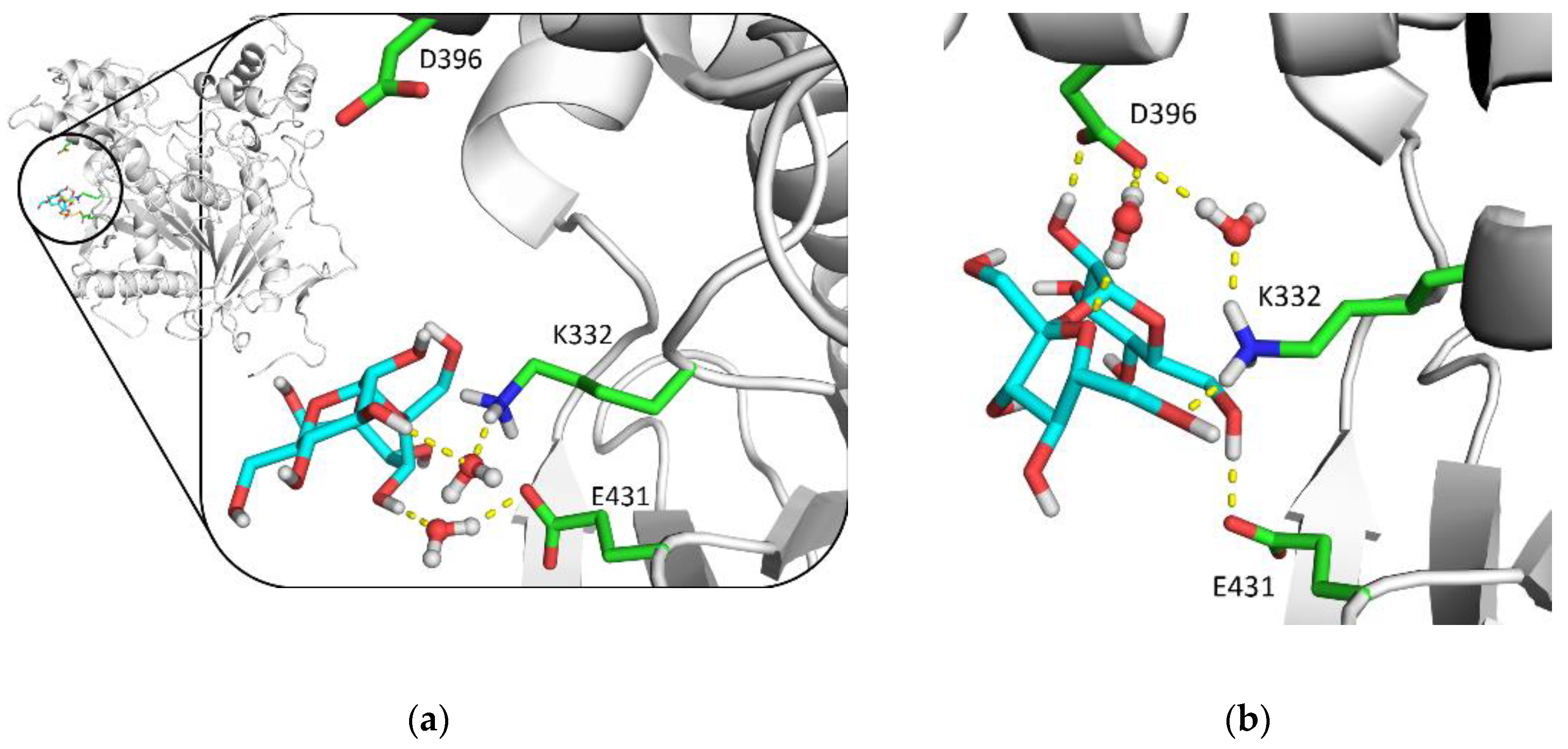 Biomolecules 10 01664 g010