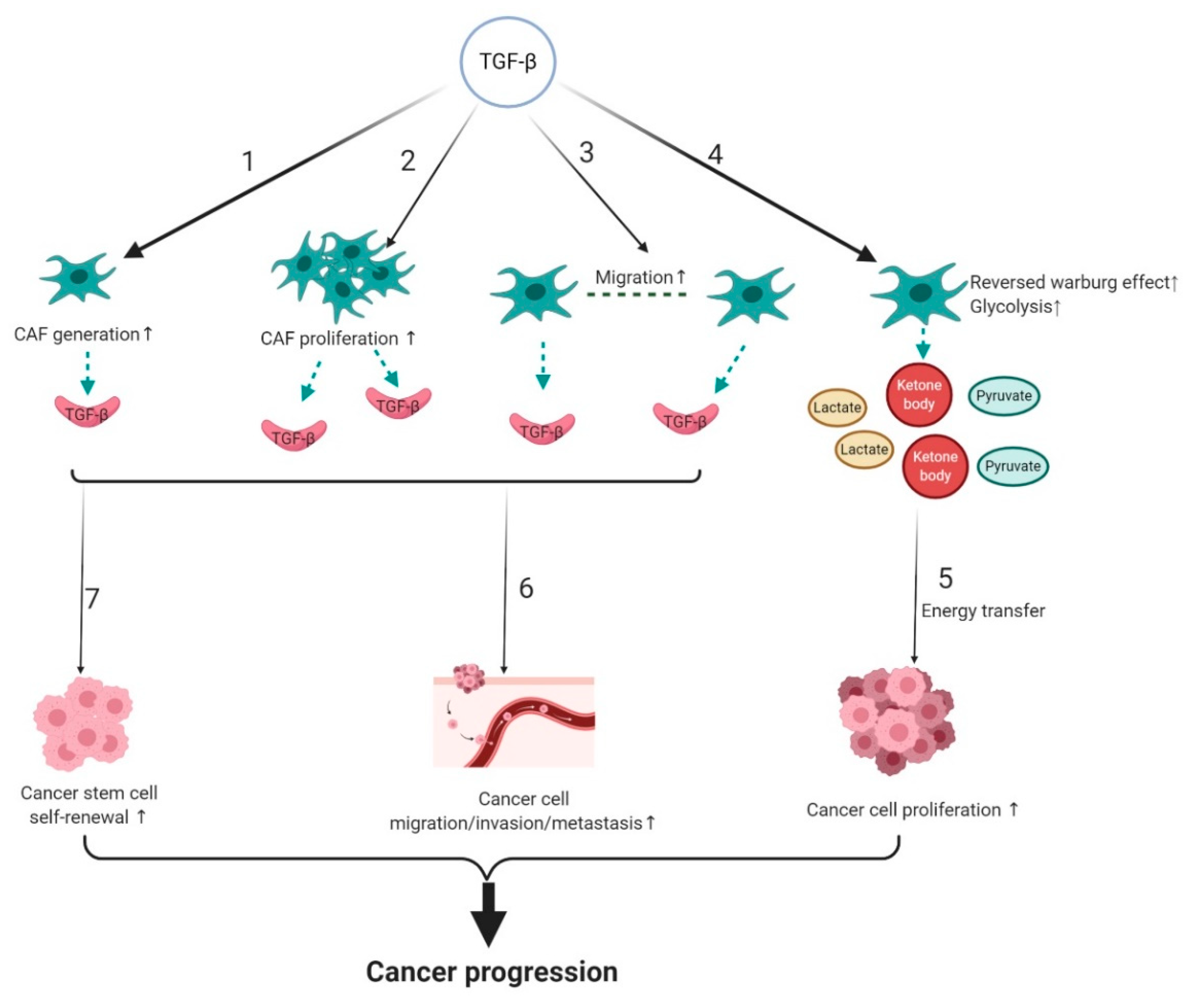 Biomolecules 10 01666 g003 Biomolecules 10 01666 g003