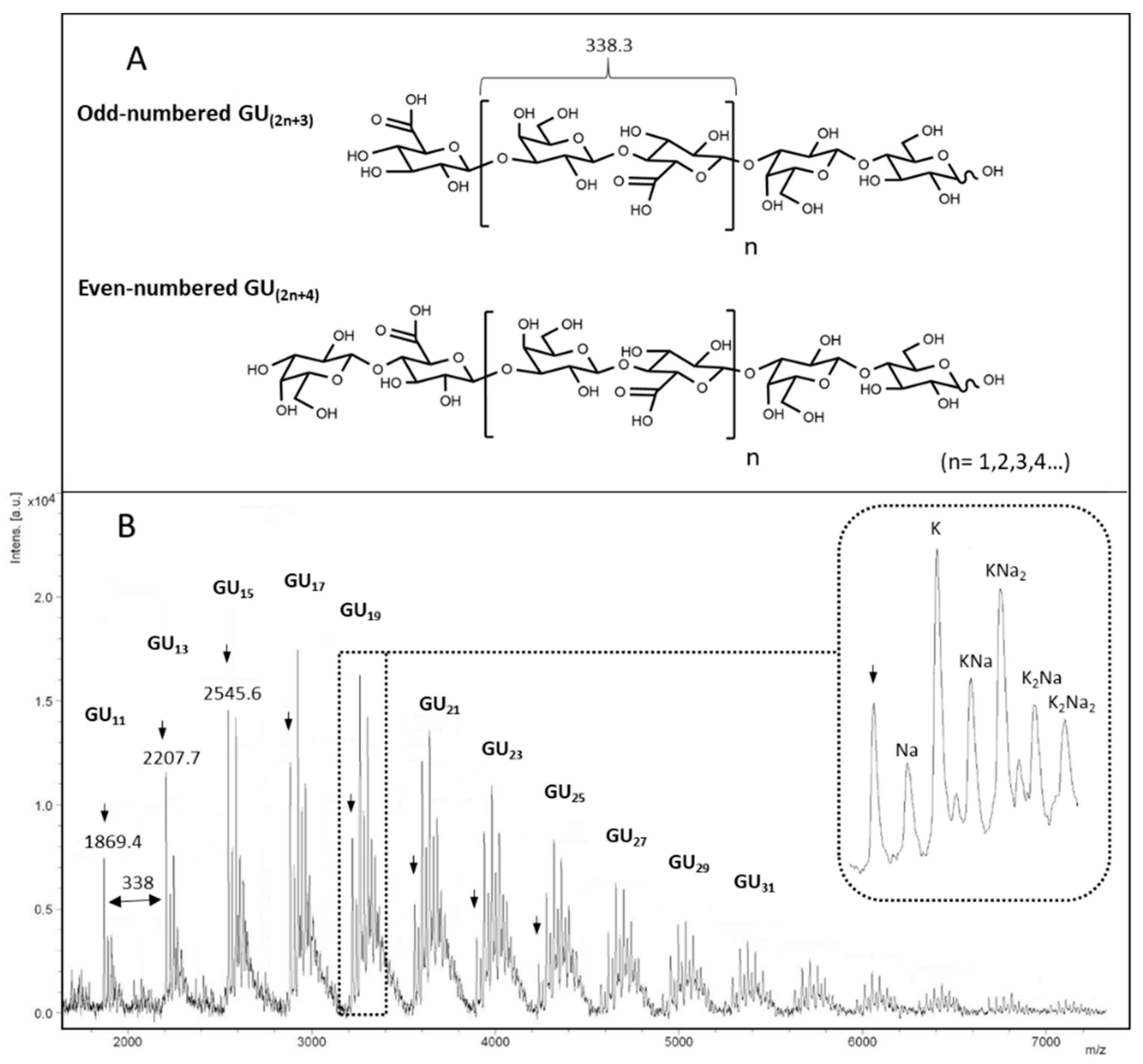 Biomolecules 10 01667 g005