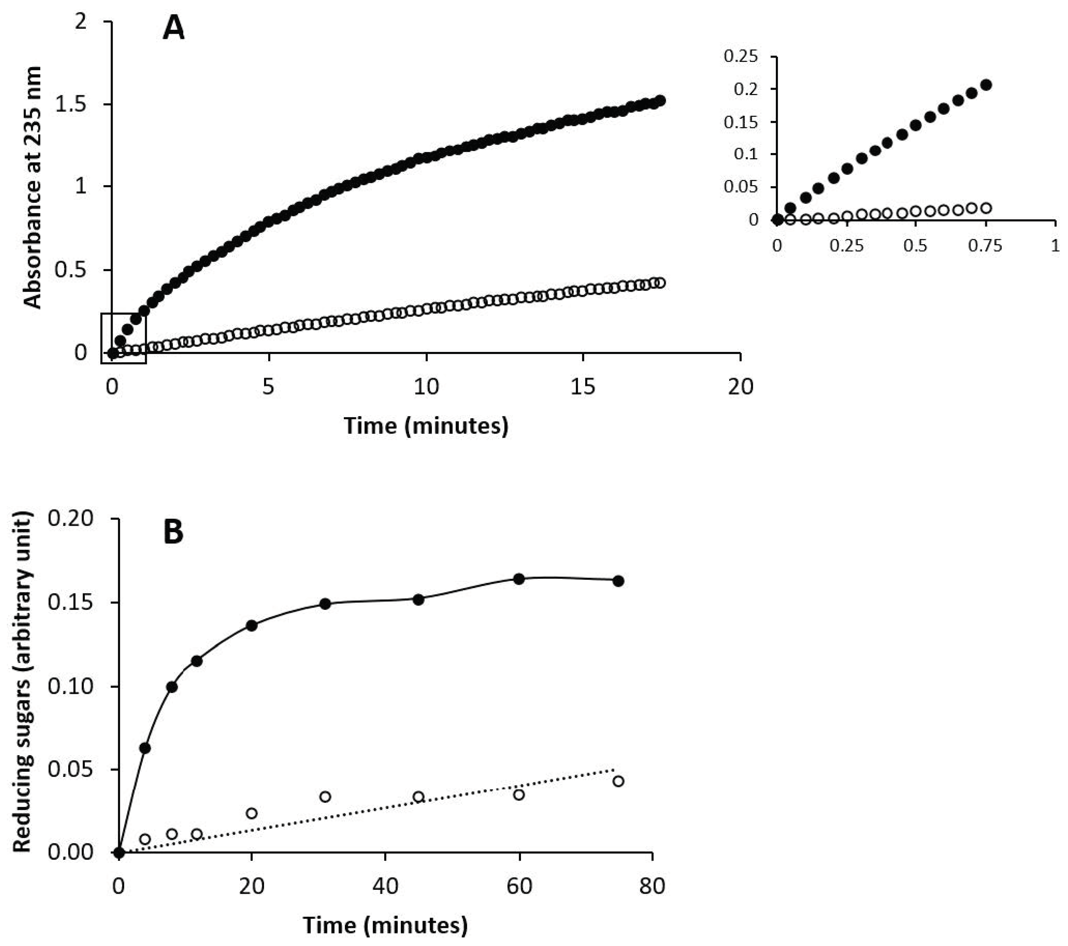 Biomolecules 10 01667 g006