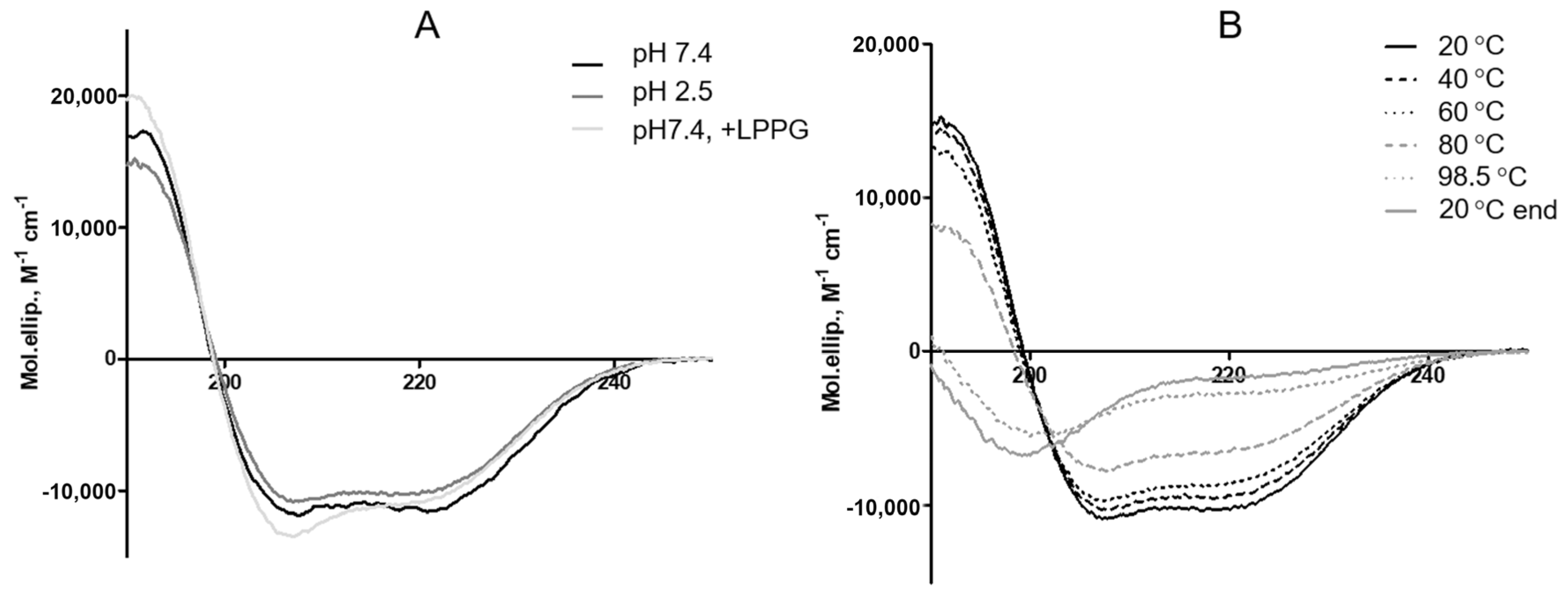 Biomolecules 10 01668 g002