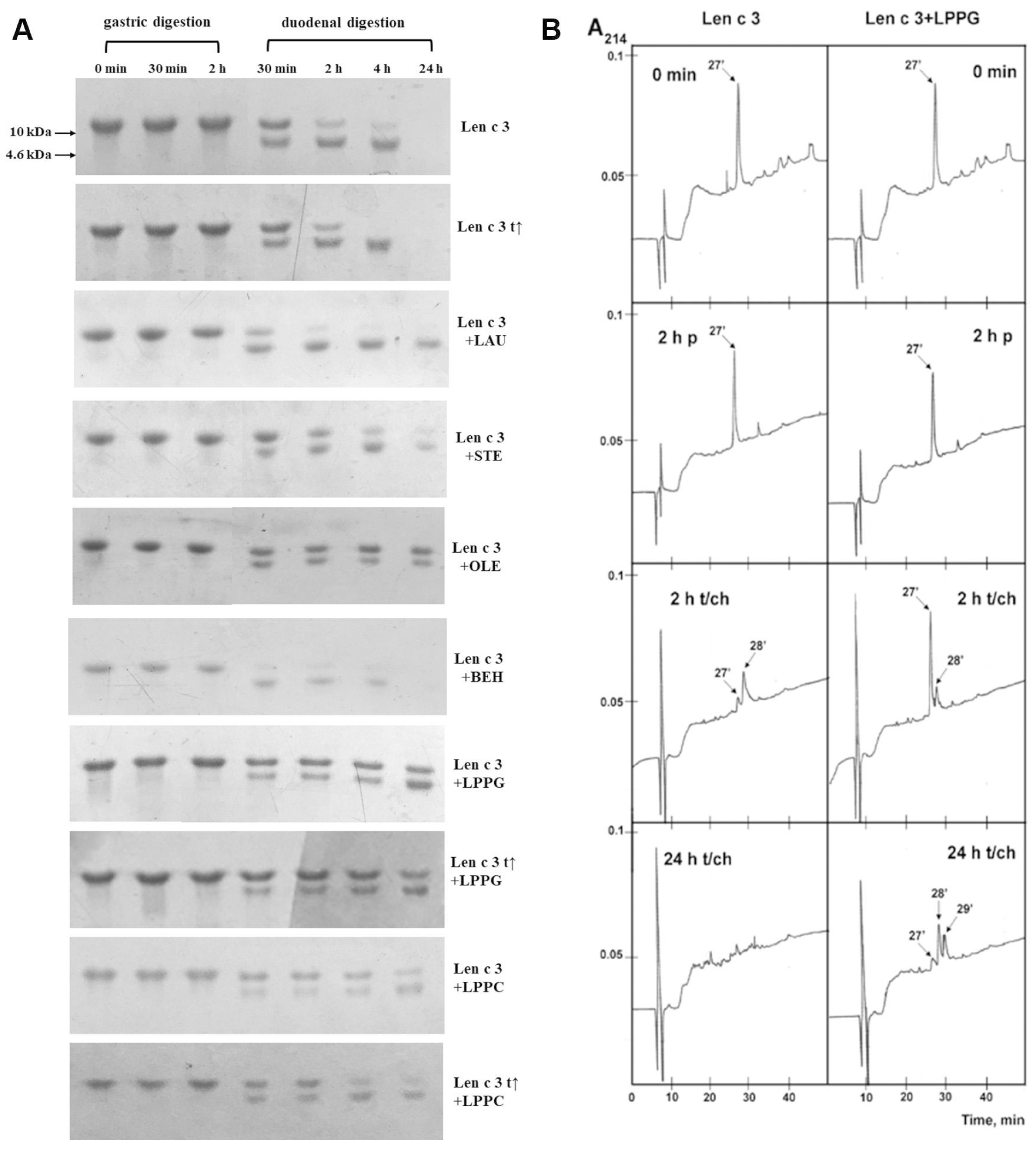 Biomolecules 10 01668 g004