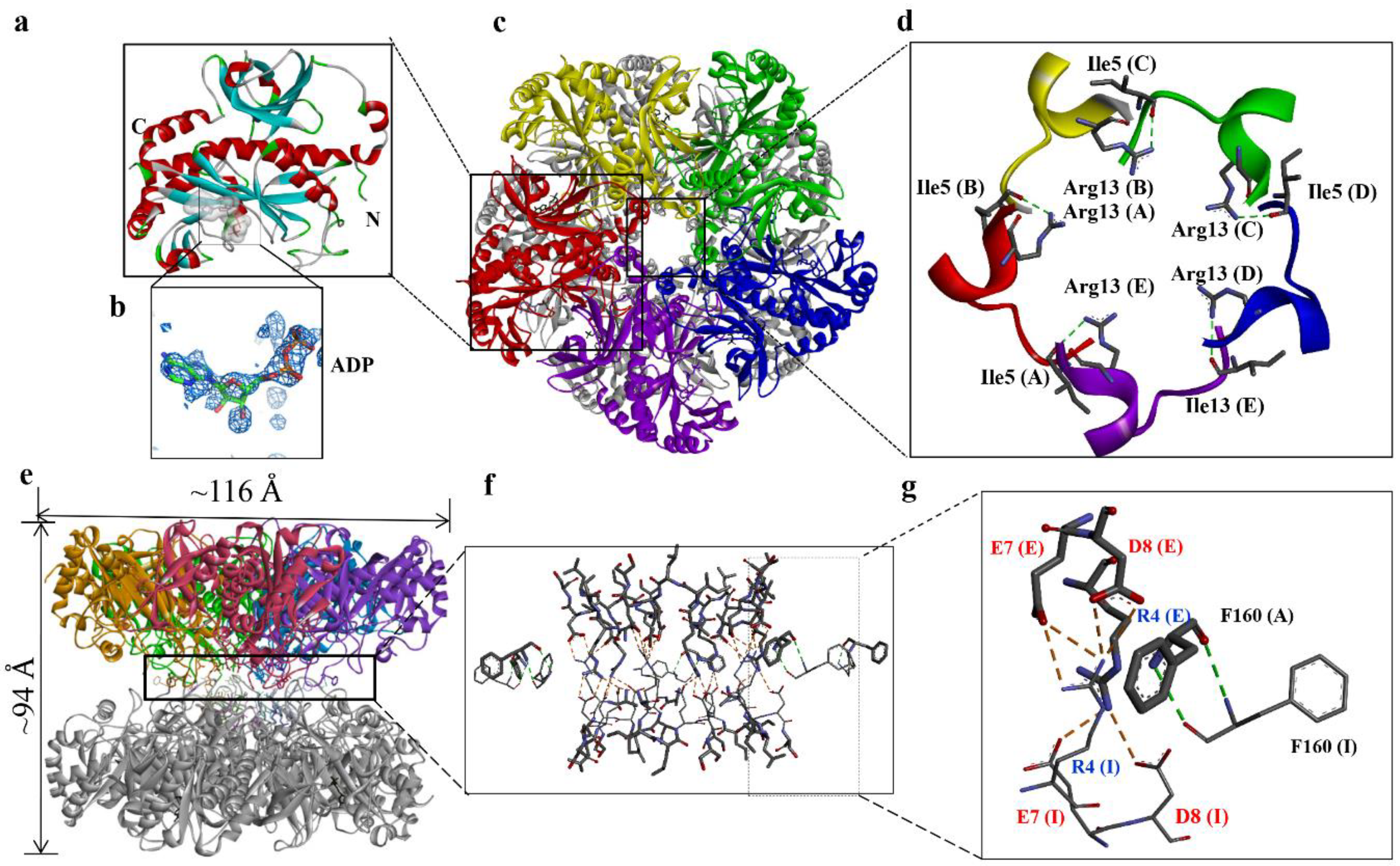 Biomolecules 10 01671 g001 Biomolecules 10 01671 g001