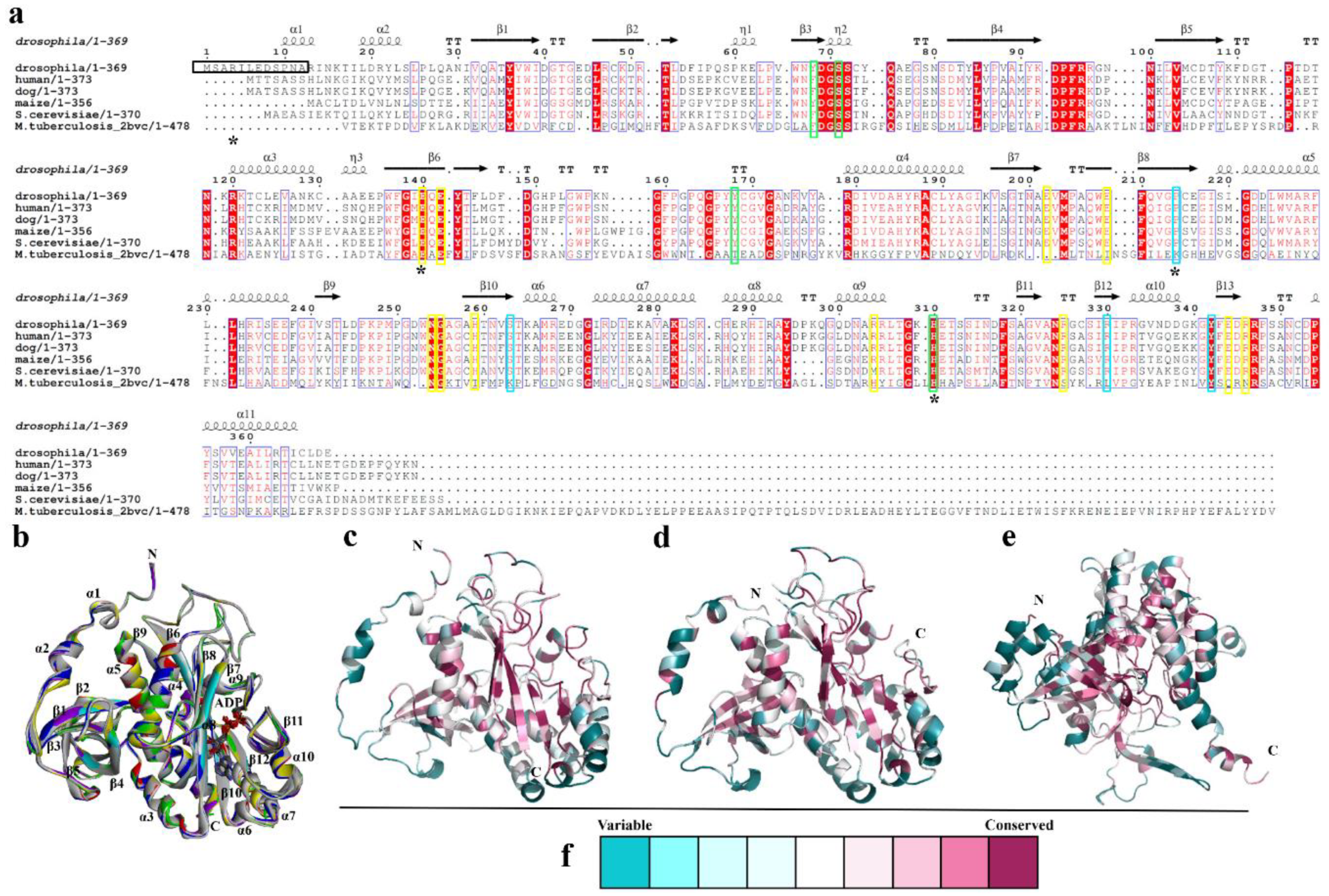 Biomolecules 10 01671 g002 Biomolecules 10 01671 g002