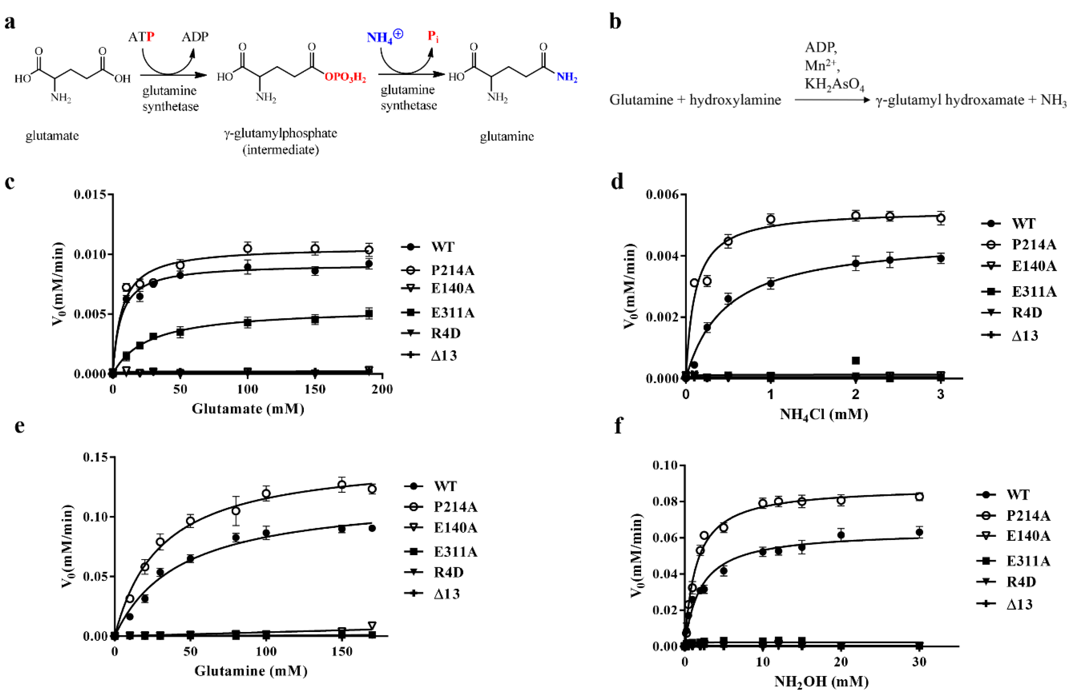 Biomolecules 10 01671 g005 Biomolecules 10 01671 g005