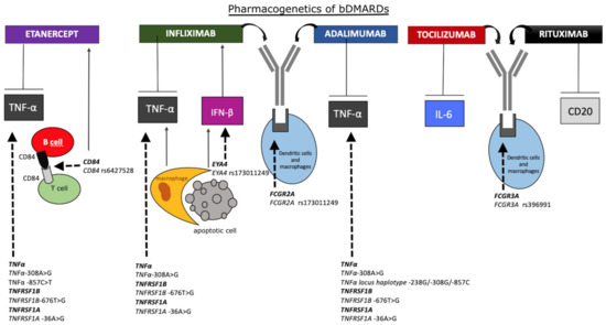 Biomolecules 10 01672 g002 550