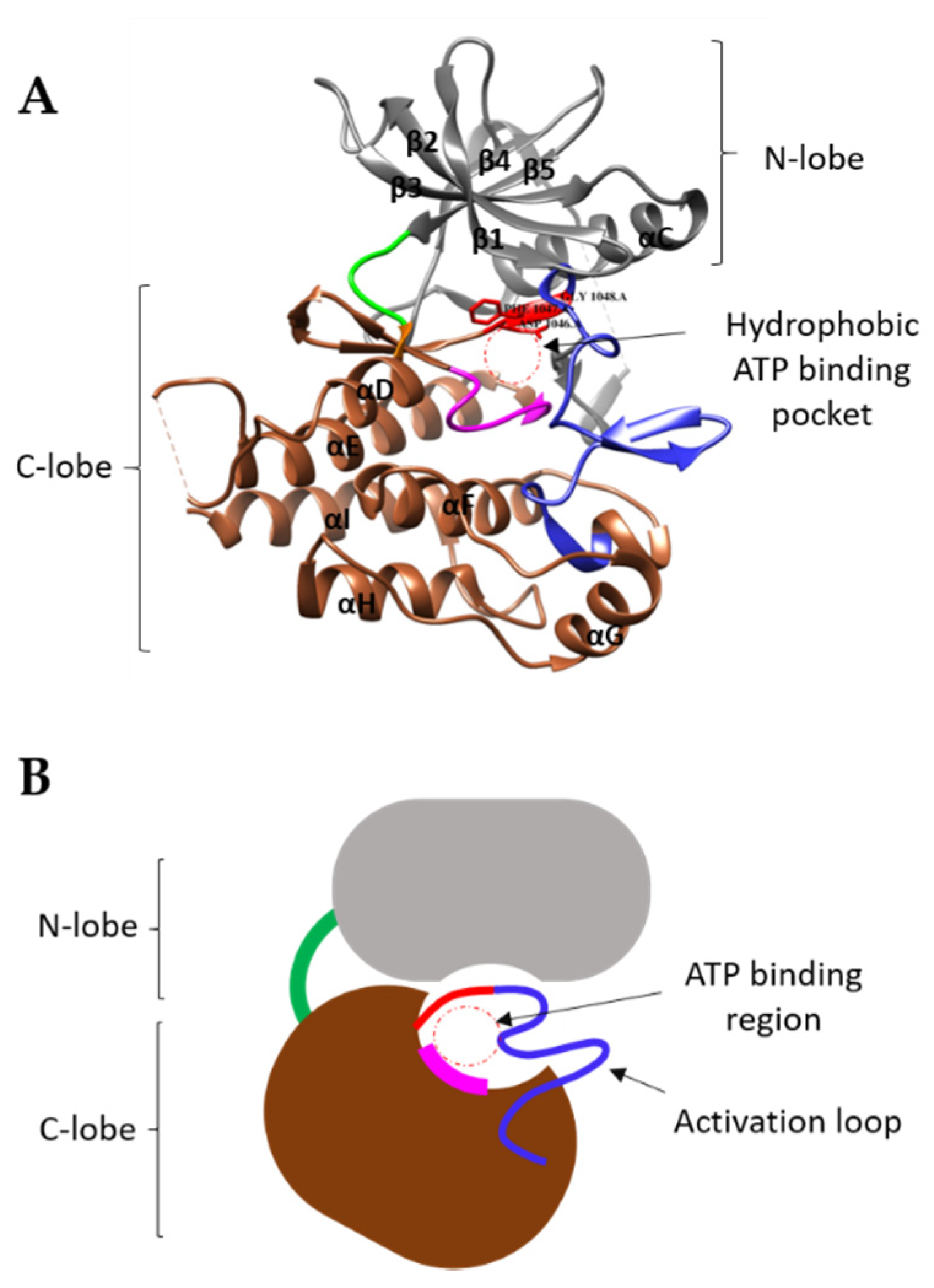 Biomolecules 10 01673 g002