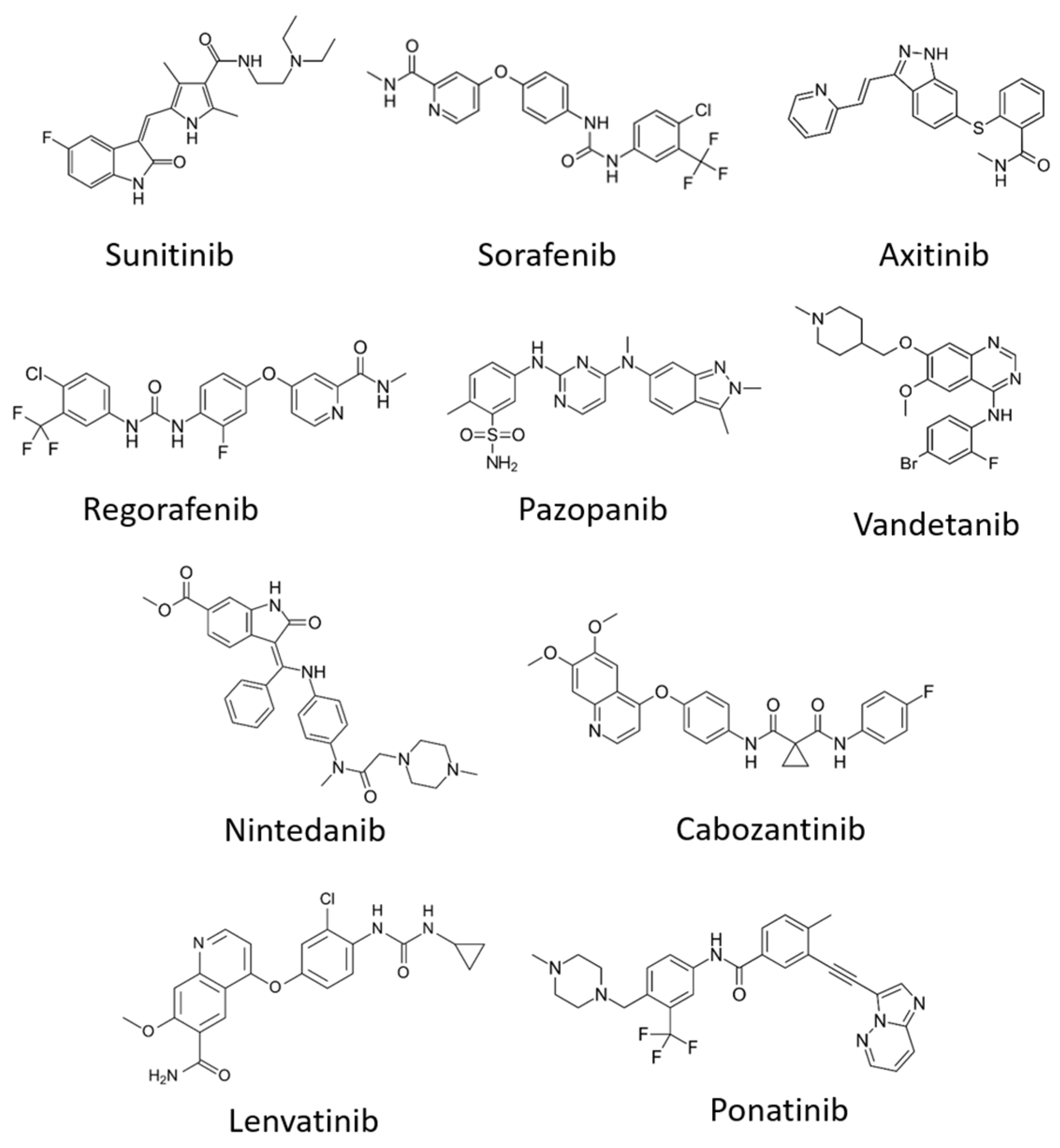 Biomolecules 10 01673 g005