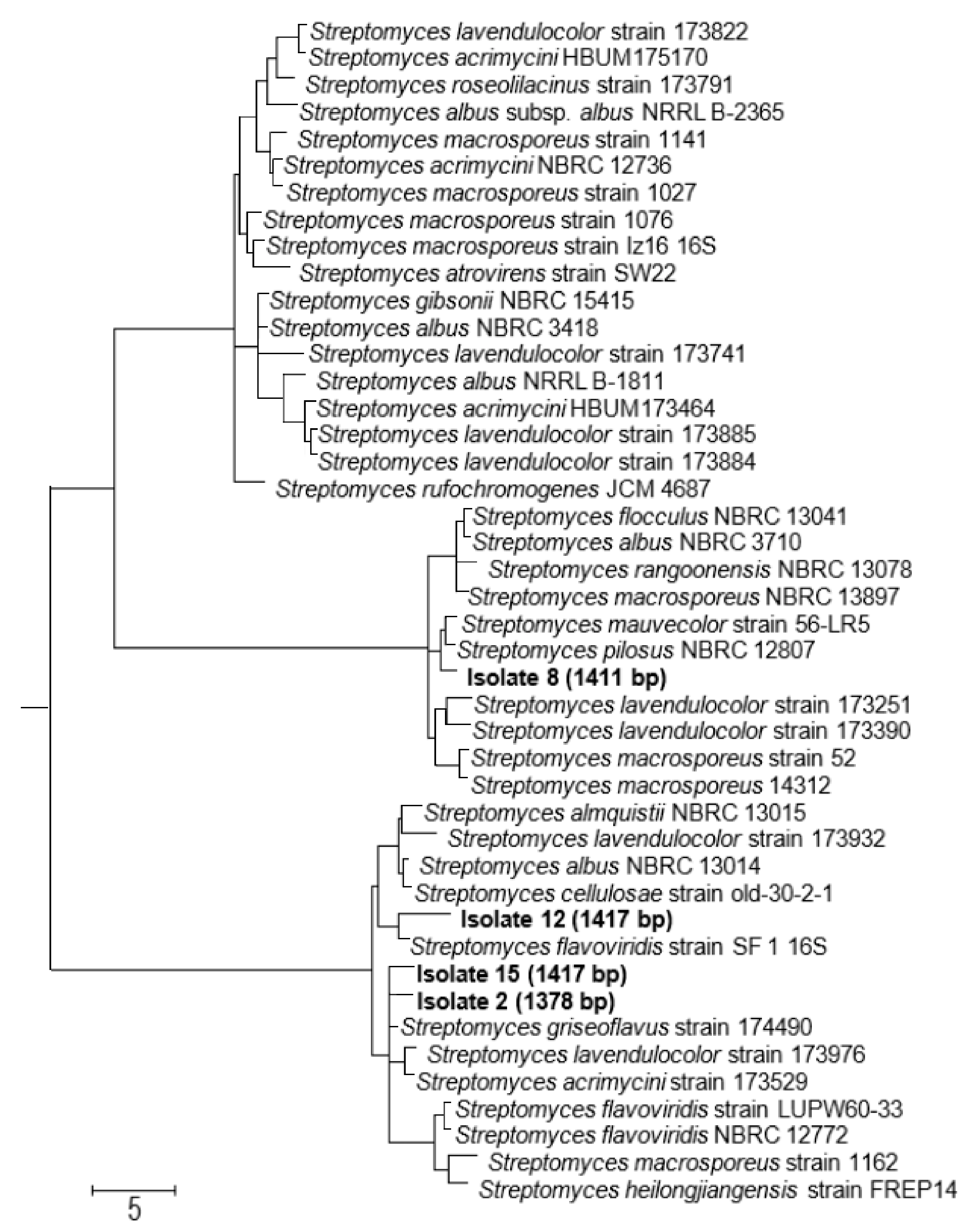 Biomolecules 10 01675 g003 Biomolecules 10 01675 g003