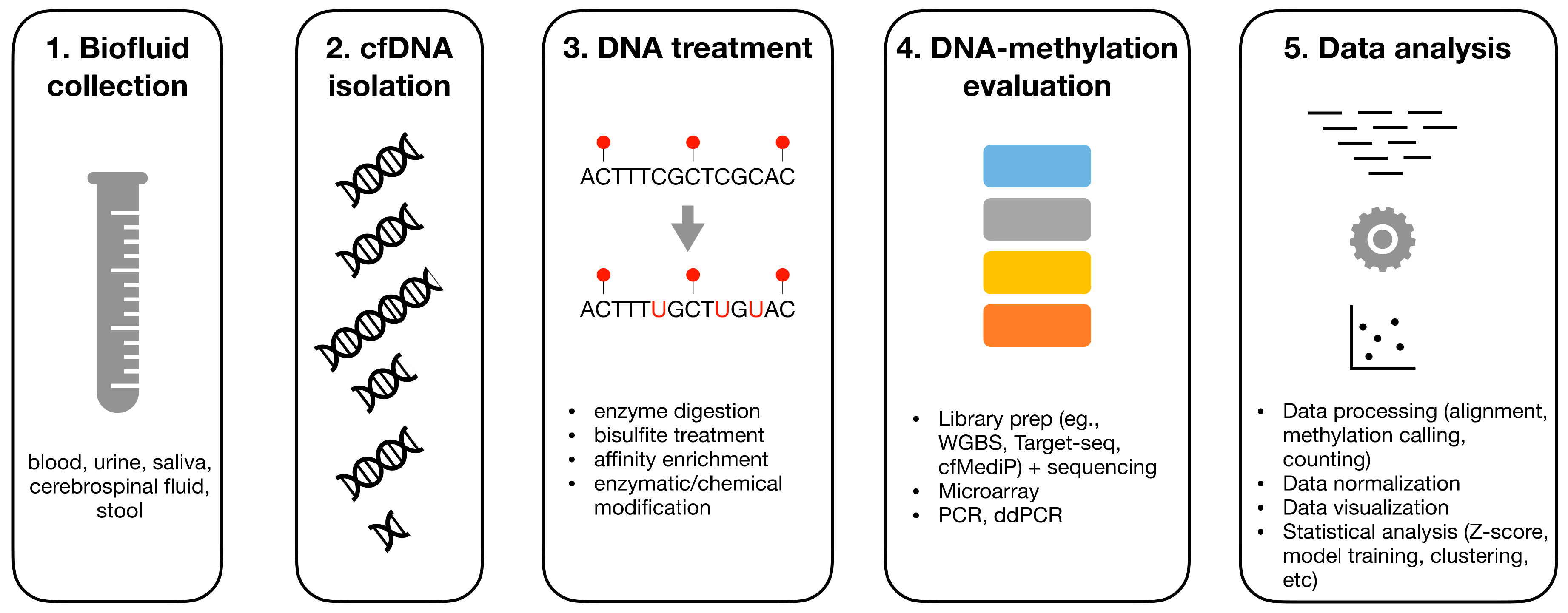 Biomolecules Free FullText CellFree DNAMethylationBased Methods and Applications in Oncology