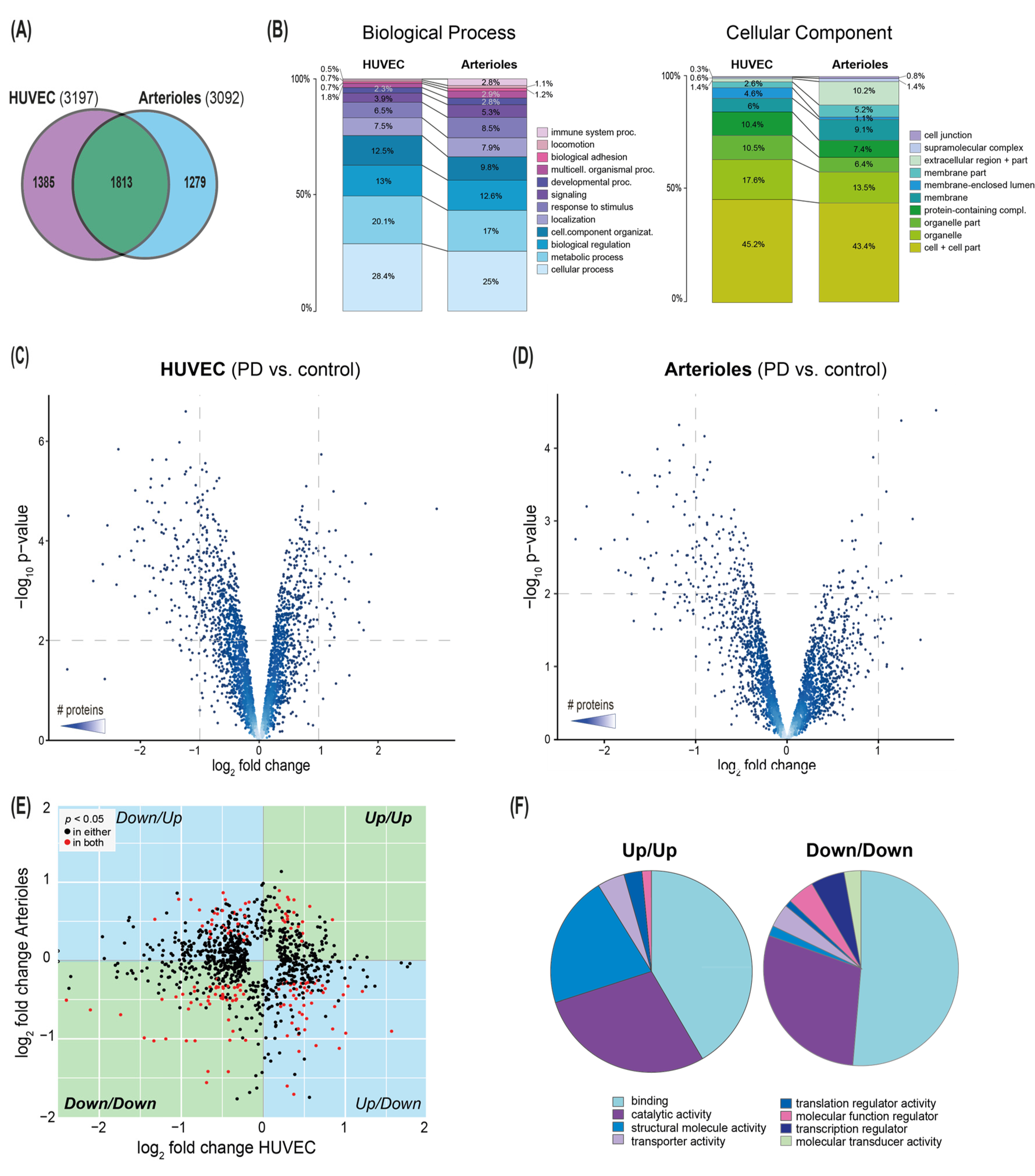 Biomolecules 10 01678 g002 Biomolecules 10 01678 g002