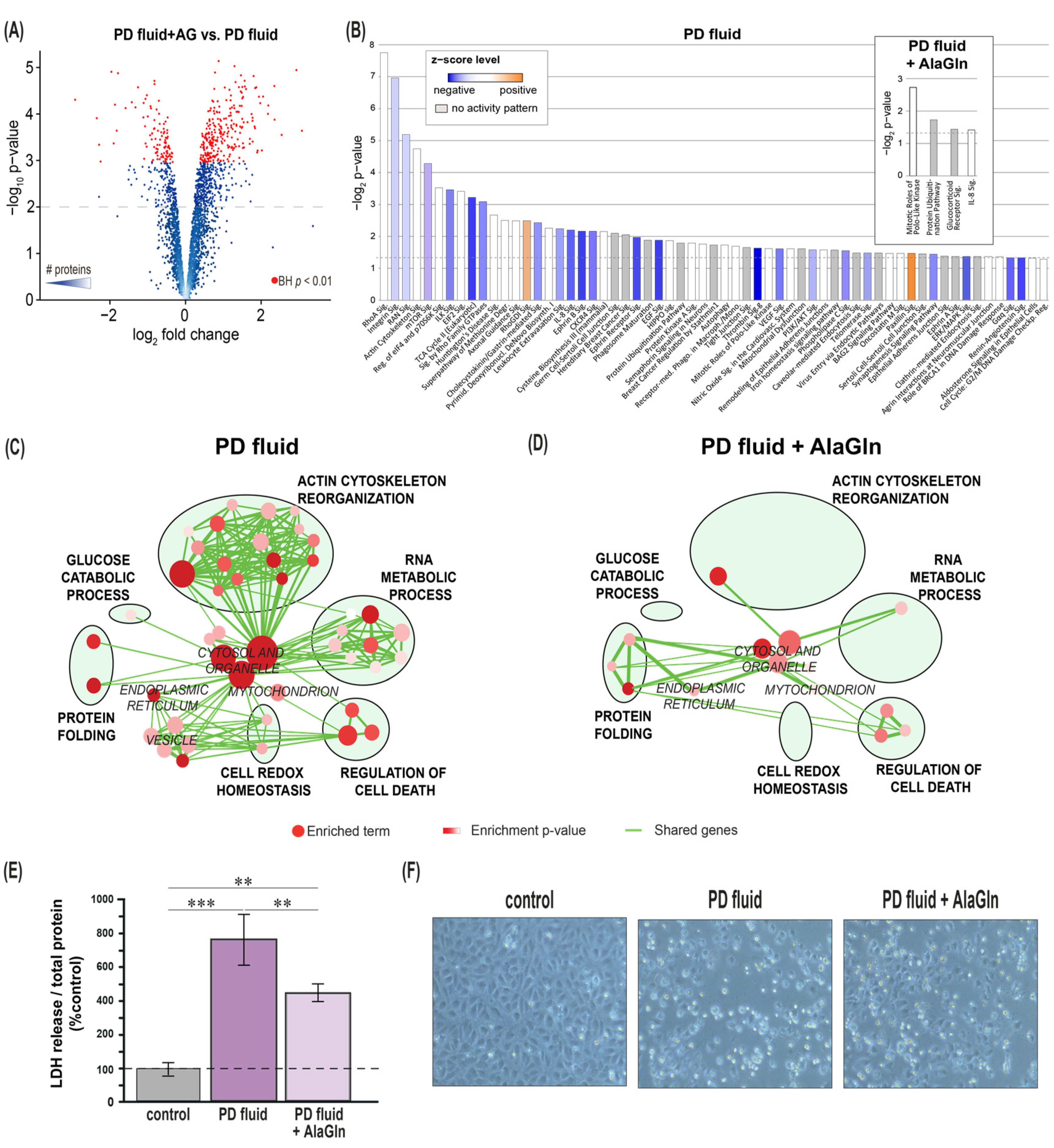 Biomolecules 10 01678 g003 Biomolecules 10 01678 g003